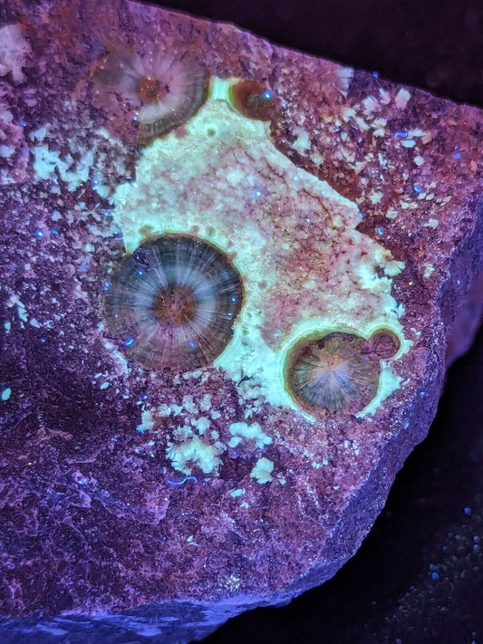 UV Reactive Wavellite -Old Stock - Mauldin Mountain, Arkansas, Amazing Eye Forms