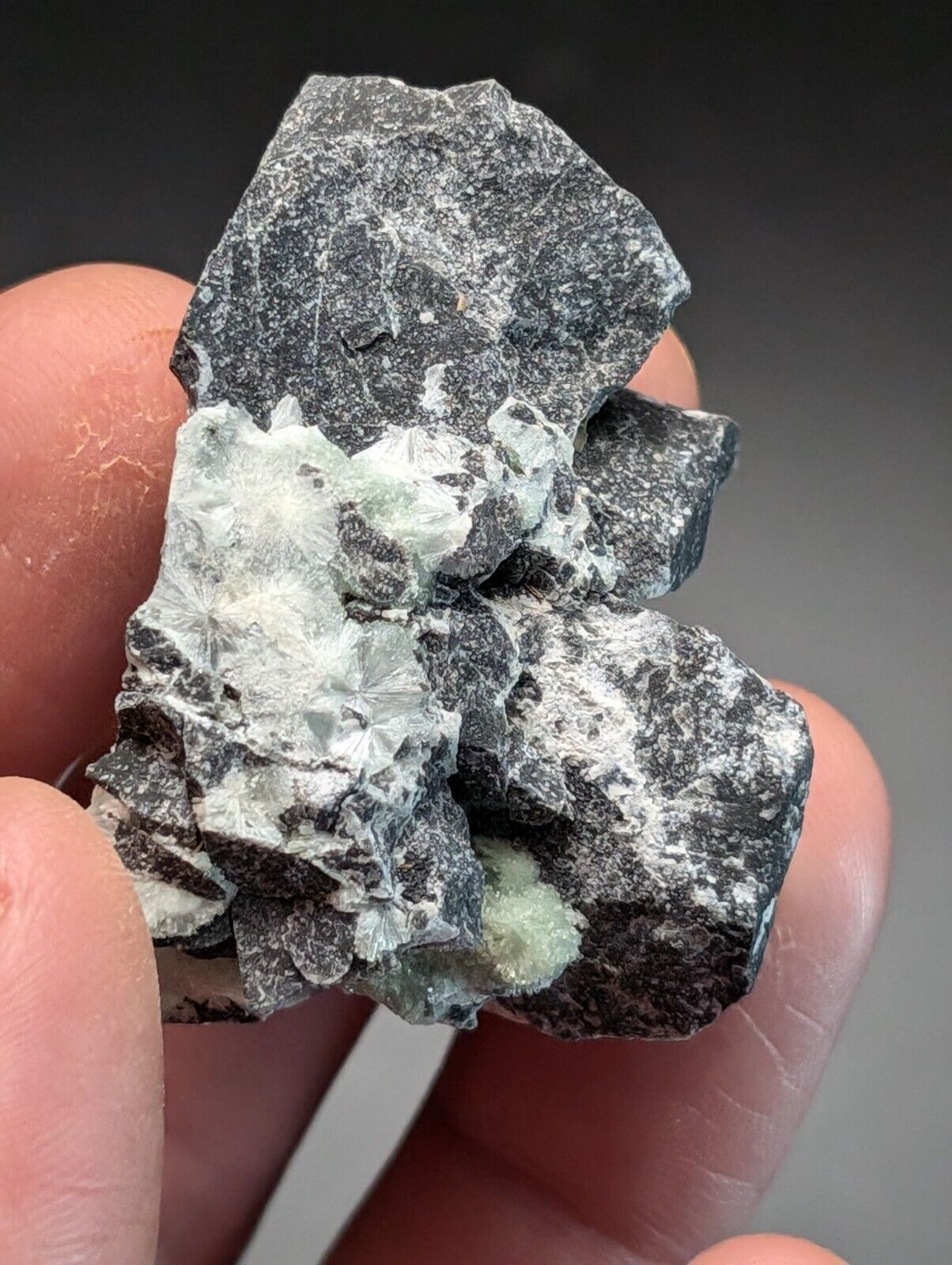 Amazing Wavellite Specimen (Arkansas, USA)  - OOAK Natural Crystal Cluster