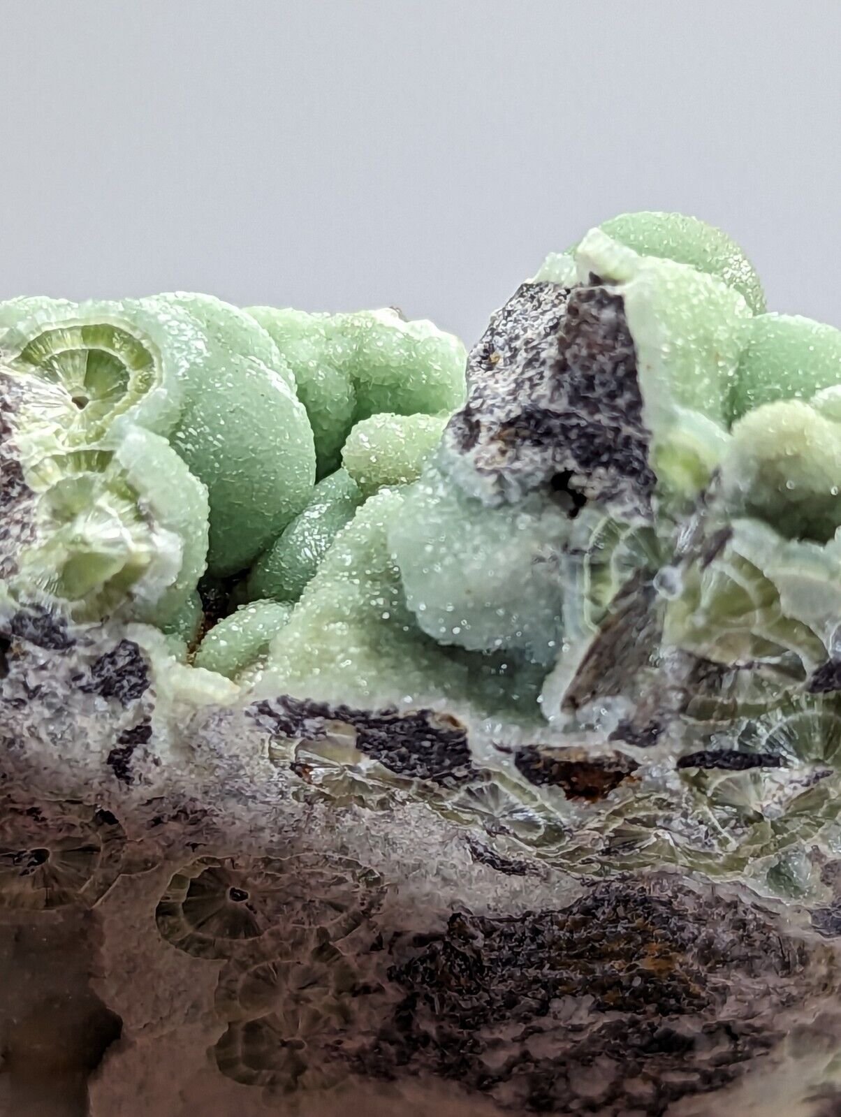 Spectacular Wavellite - Amazing Old Stock - Mauldin Mountain, Arkansas