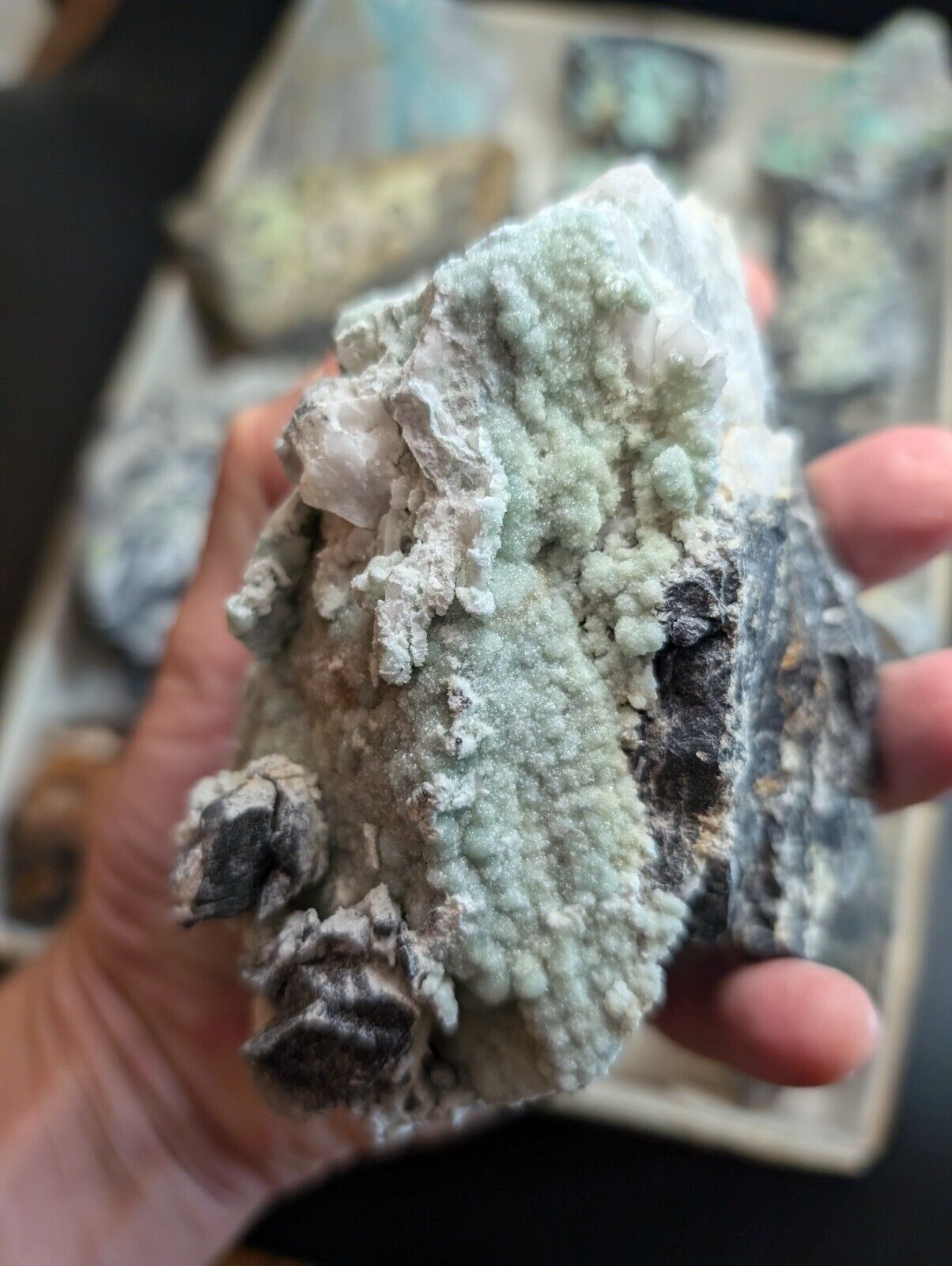 Flat of 12 Wavellite, Planerite, Variscite, Kidwellite Specimens - Arkansas, USA