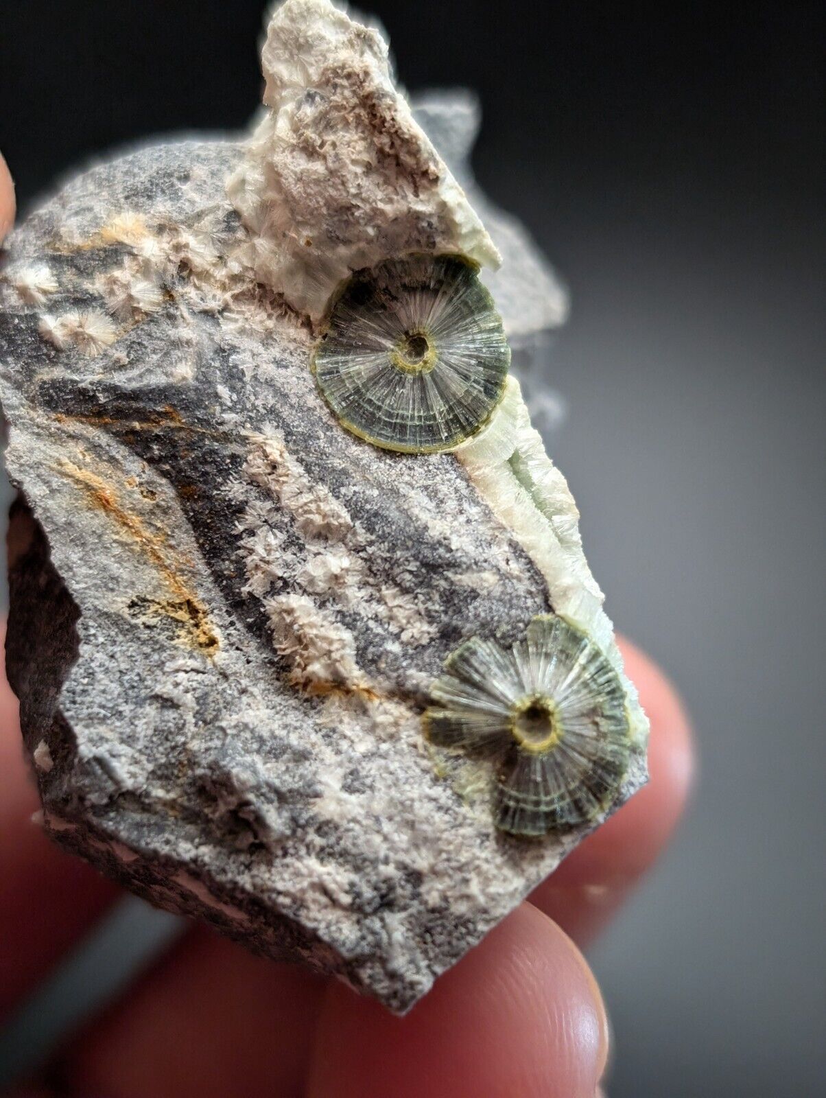 UV Reactive Wavellite -Old Stock - Mauldin Mountain, Arkansas, Amazing Eye Forms