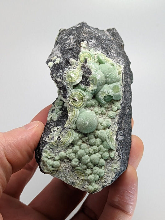 Wavellite - Fantastic Old Stock - Mauldin Mountain, Arkansas, 10.5 cm