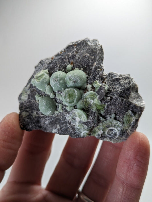 Wavellite - Fantastic Old Stock - Mauldin Mountain, Arkansas