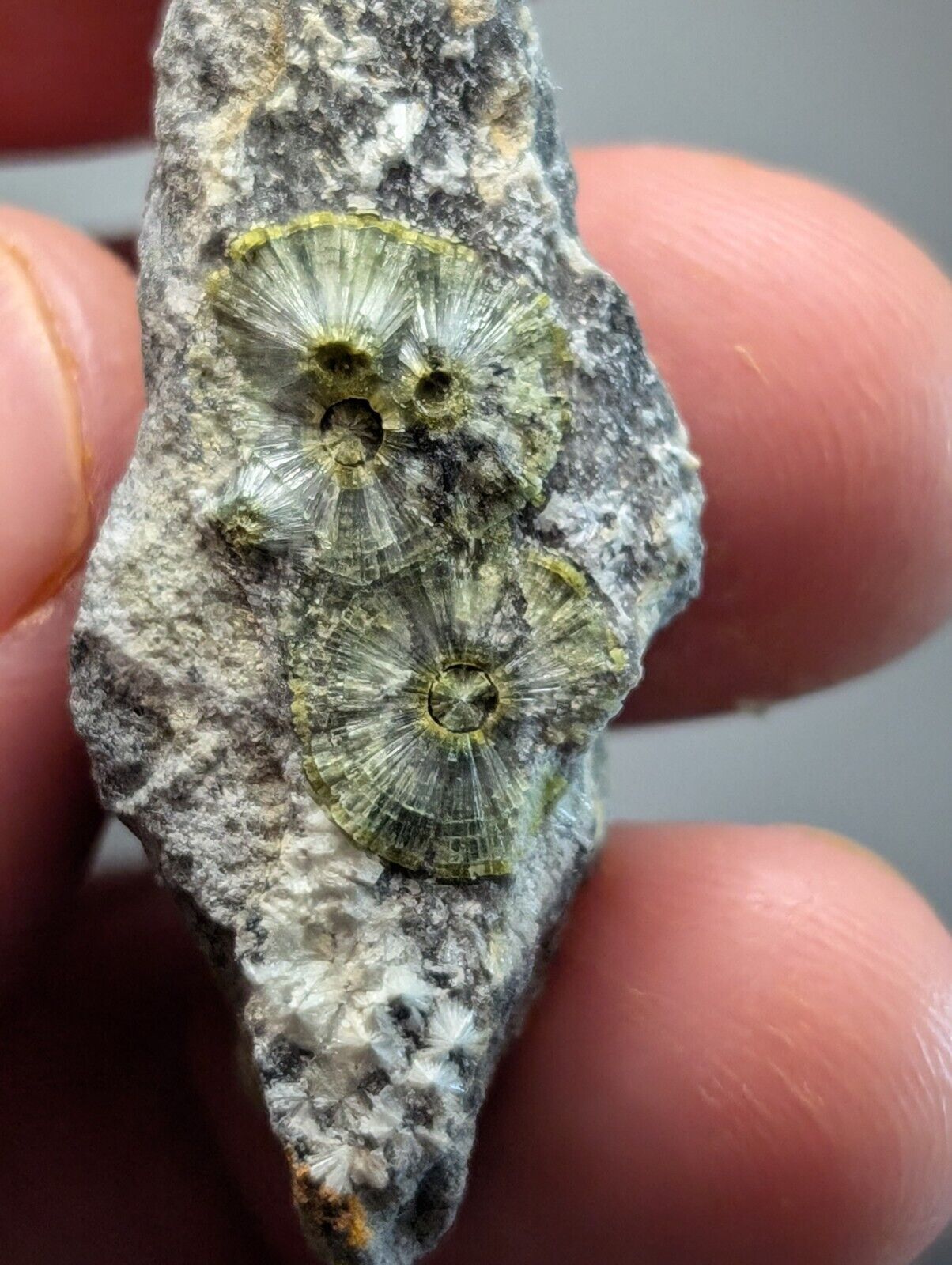 UV Reactive Wavellite -Old Stock - Mauldin Mountain, Arkansas, Amazing Eye Forms