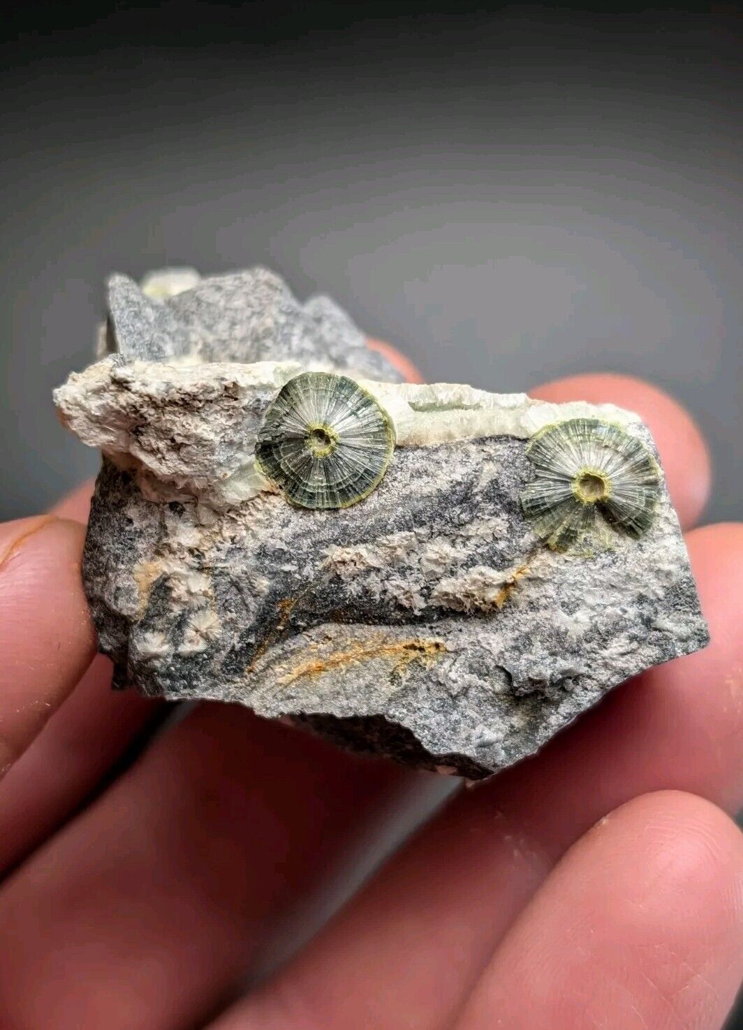 UV Reactive Wavellite -Old Stock - Mauldin Mountain, Arkansas, Amazing Eye Forms