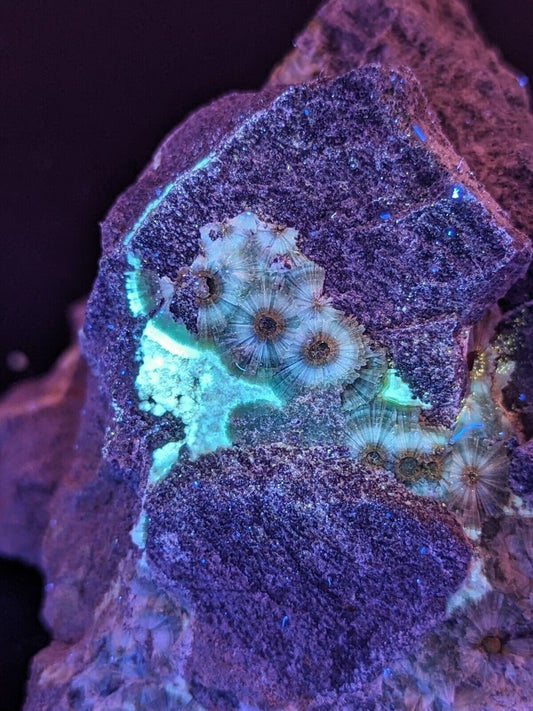 UV Reactive Wavellite -Old Stock - Mauldin Mountain, Arkansas, Amazing Eye Forms