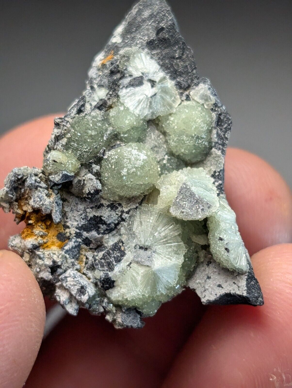 Amazing Wavellite Specimen (Arkansas, USA)  - OOAK Natural Crystal Cluster