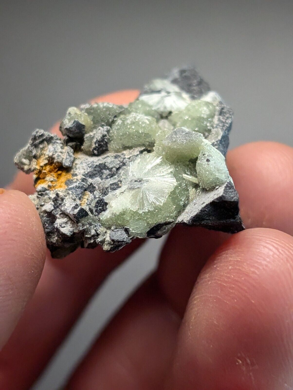 Amazing Wavellite Specimen (Arkansas, USA)  - OOAK Natural Crystal Cluster