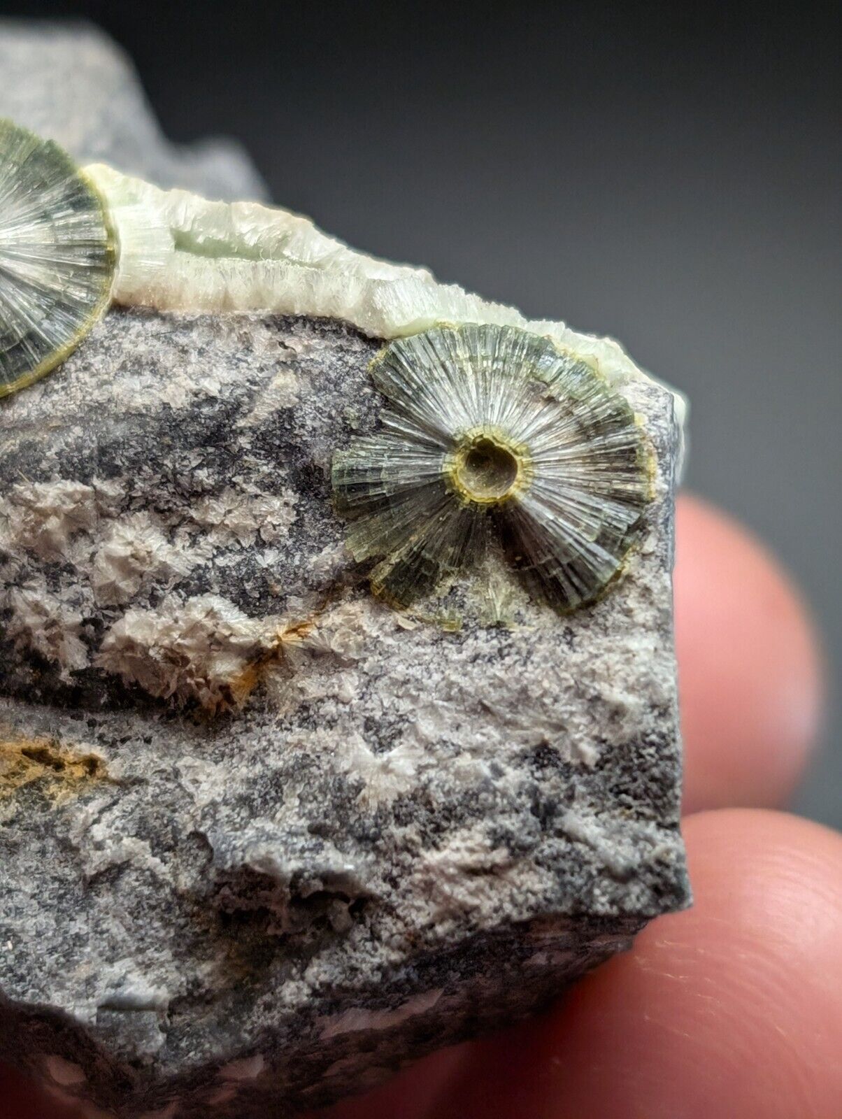 UV Reactive Wavellite -Old Stock - Mauldin Mountain, Arkansas, Amazing Eye Forms