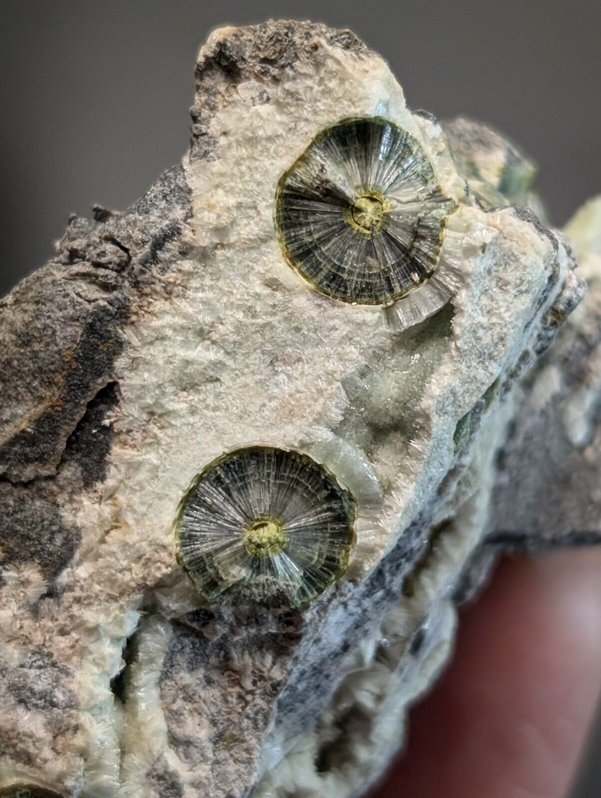 UV Reactive Wavellite -Old Stock - Mauldin Mountain, Arkansas, Amazing Eye Forms