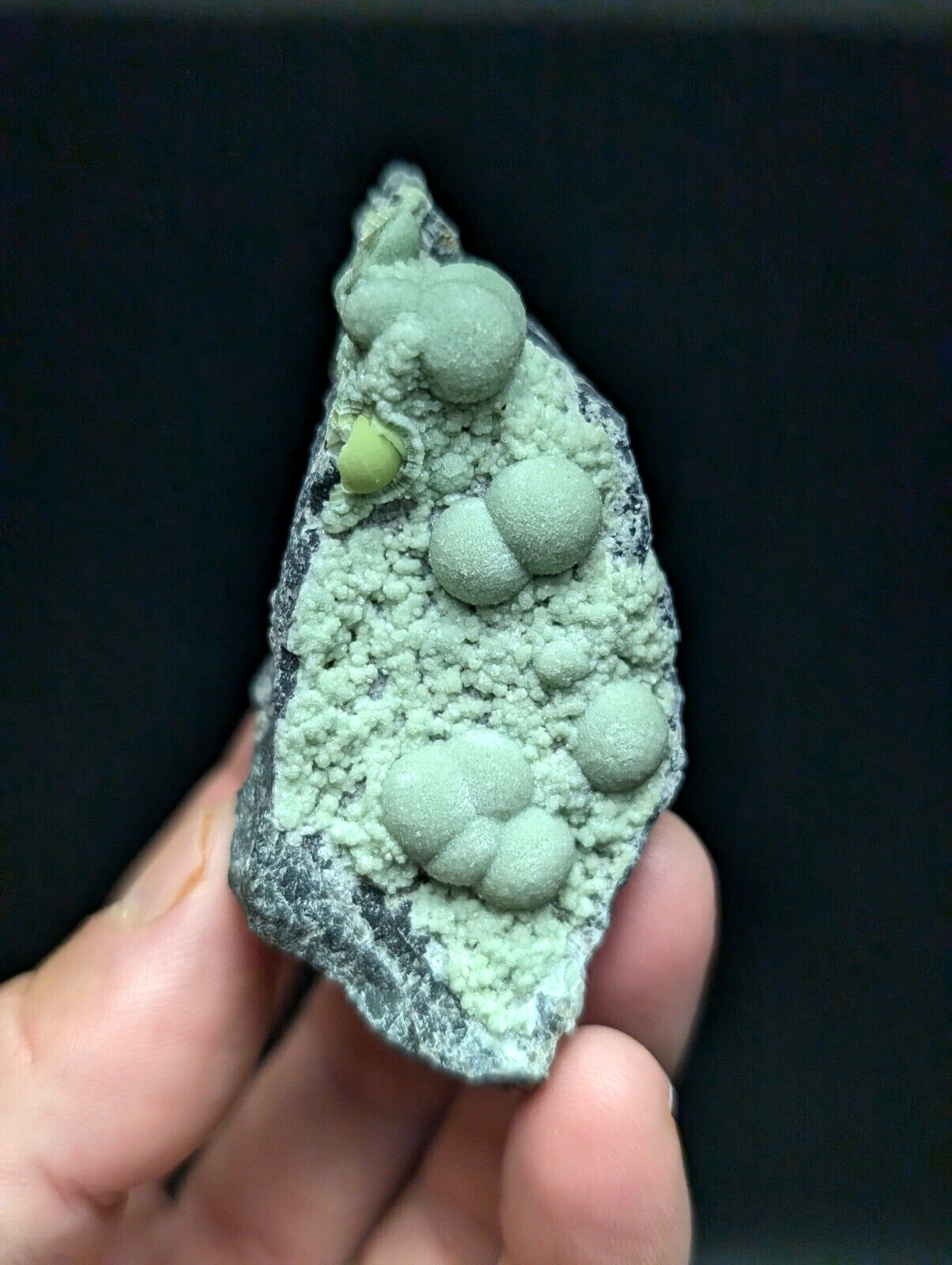 Amazing Wavellite Specimen (Arkansas, USA)  - OOAK Natural Crystal Cluster