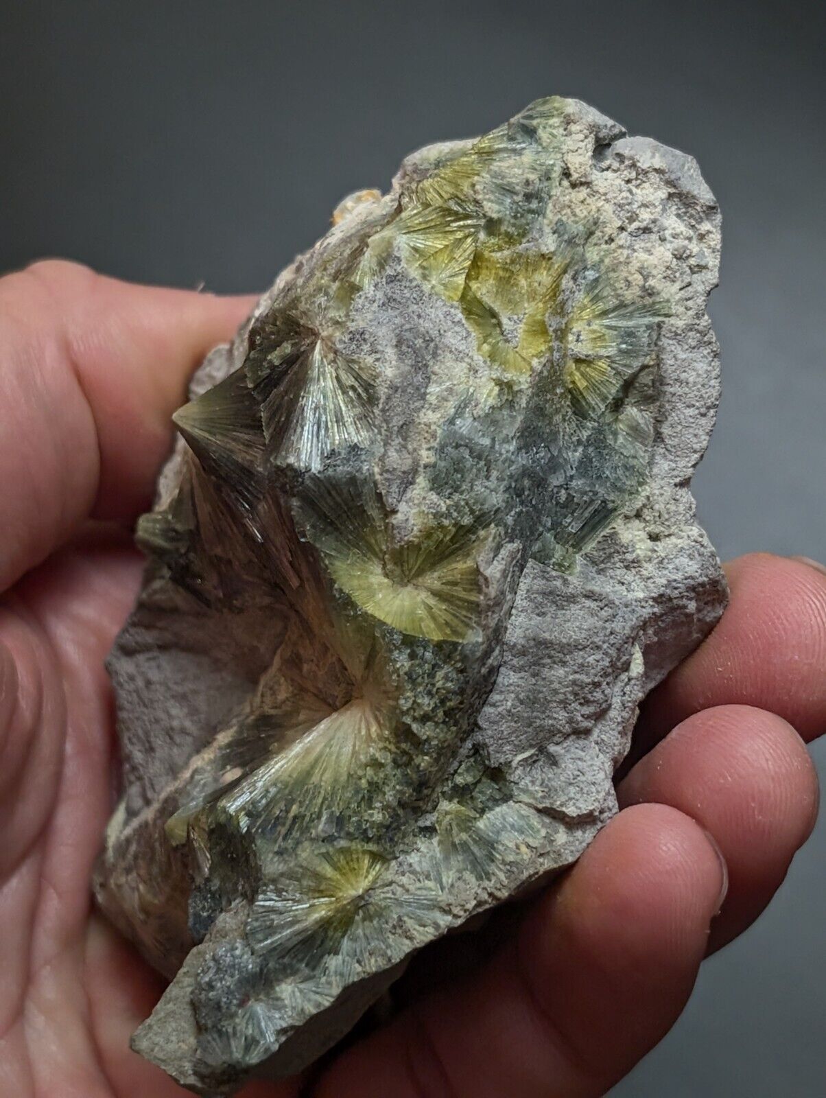 Wavellite, Big Eyes - Old Stock - Delinde Mine, 1960s - Garland County, Arkansas