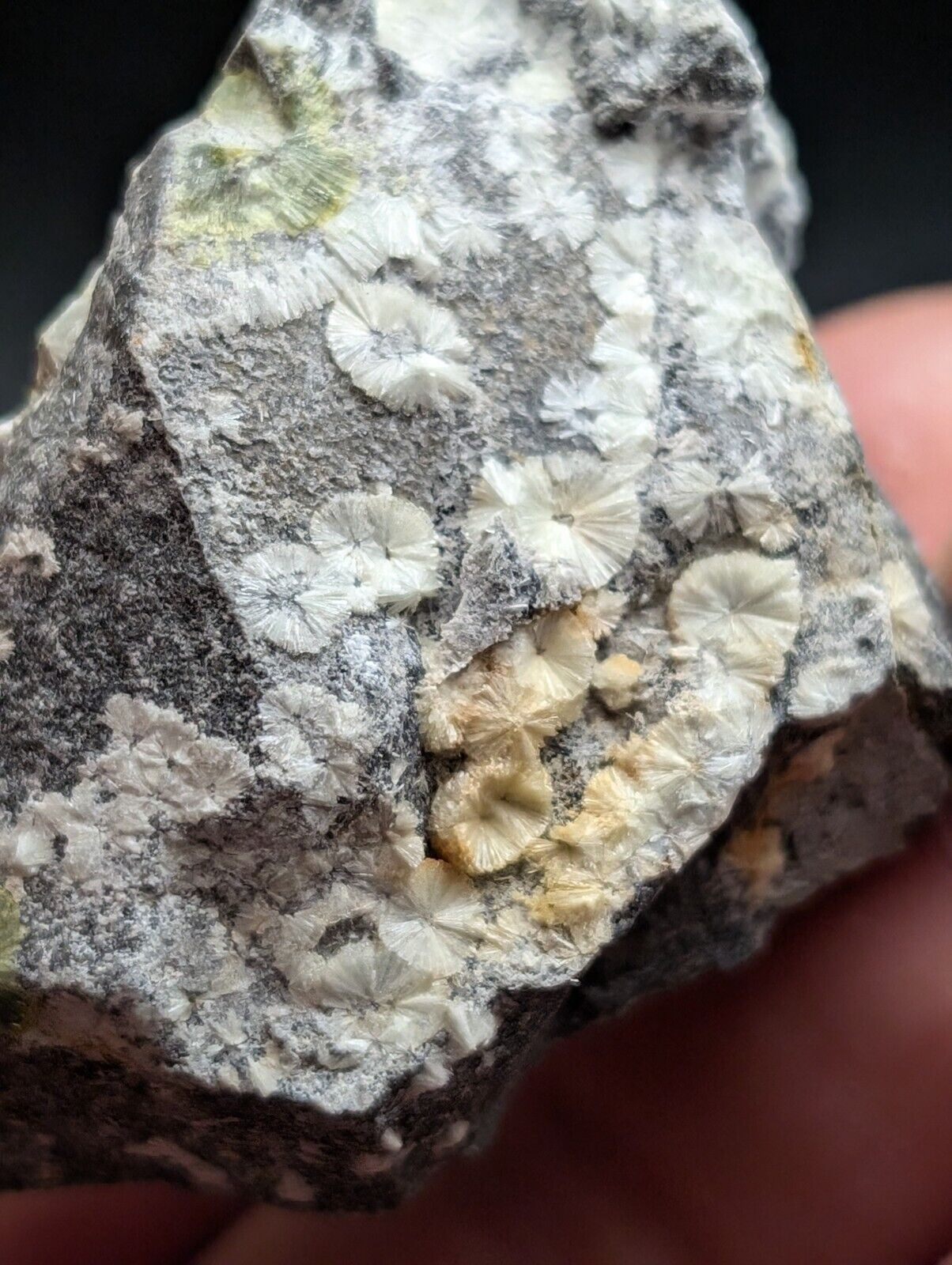 UV Reactive Wavellite -Old Stock - Mauldin Mountain, Arkansas, Amazing Eye Forms