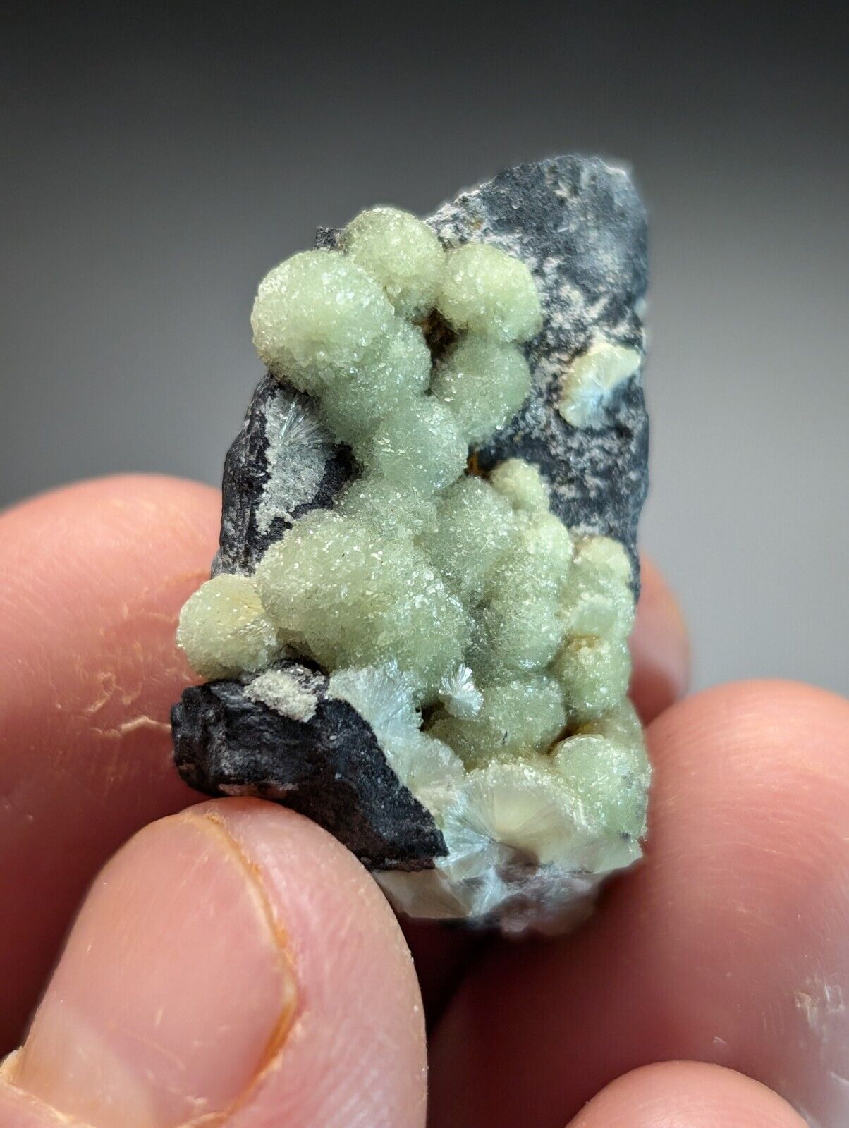 Amazing A+ Wavellite Specimen (Arkansas, USA)  - OOAK Natural Crystal Cluster