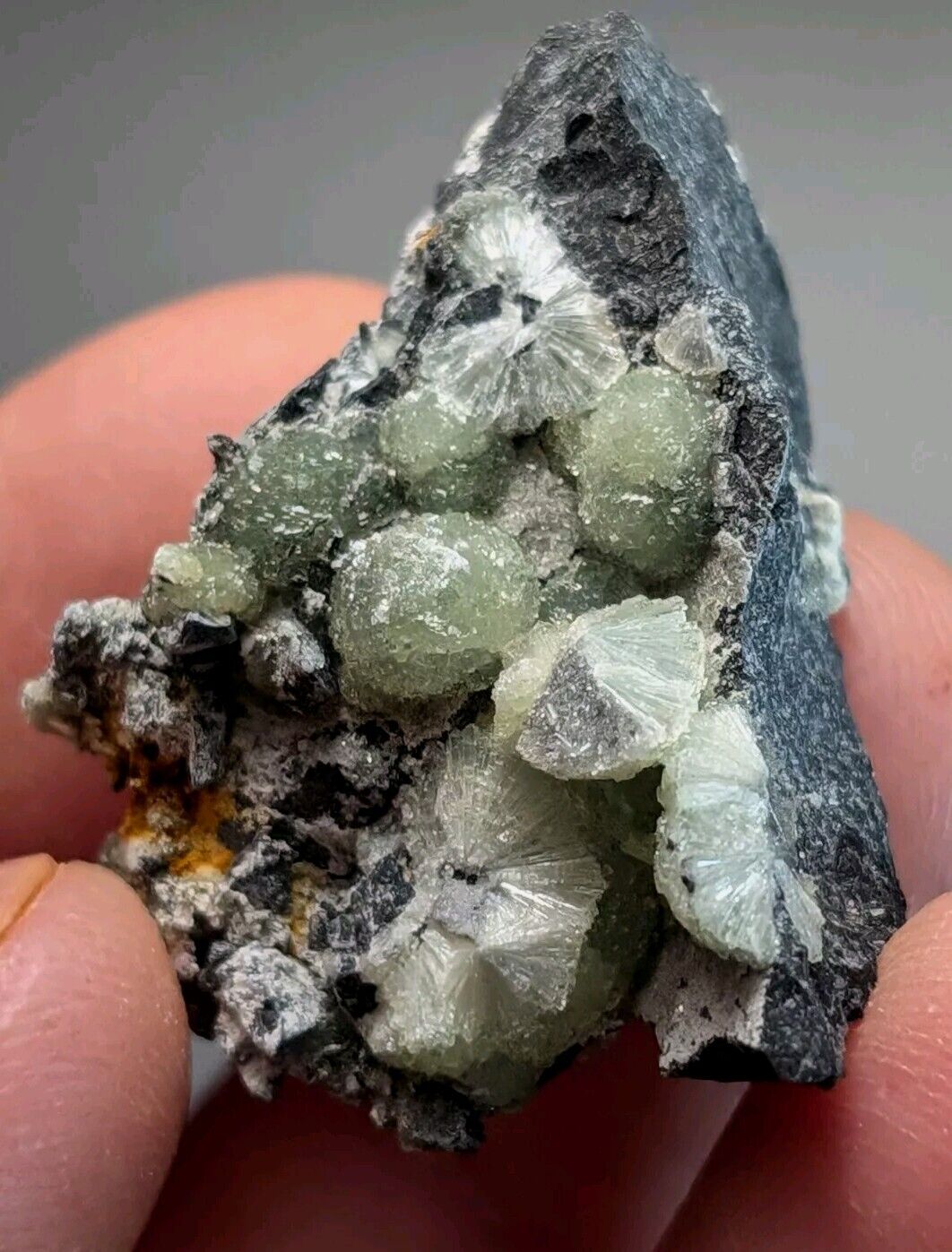 Amazing Wavellite Specimen (Arkansas, USA)  - OOAK Natural Crystal Cluster