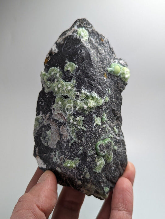 Wavellite - Fantastic Old Stock - Mauldin Mountain, Arkansas