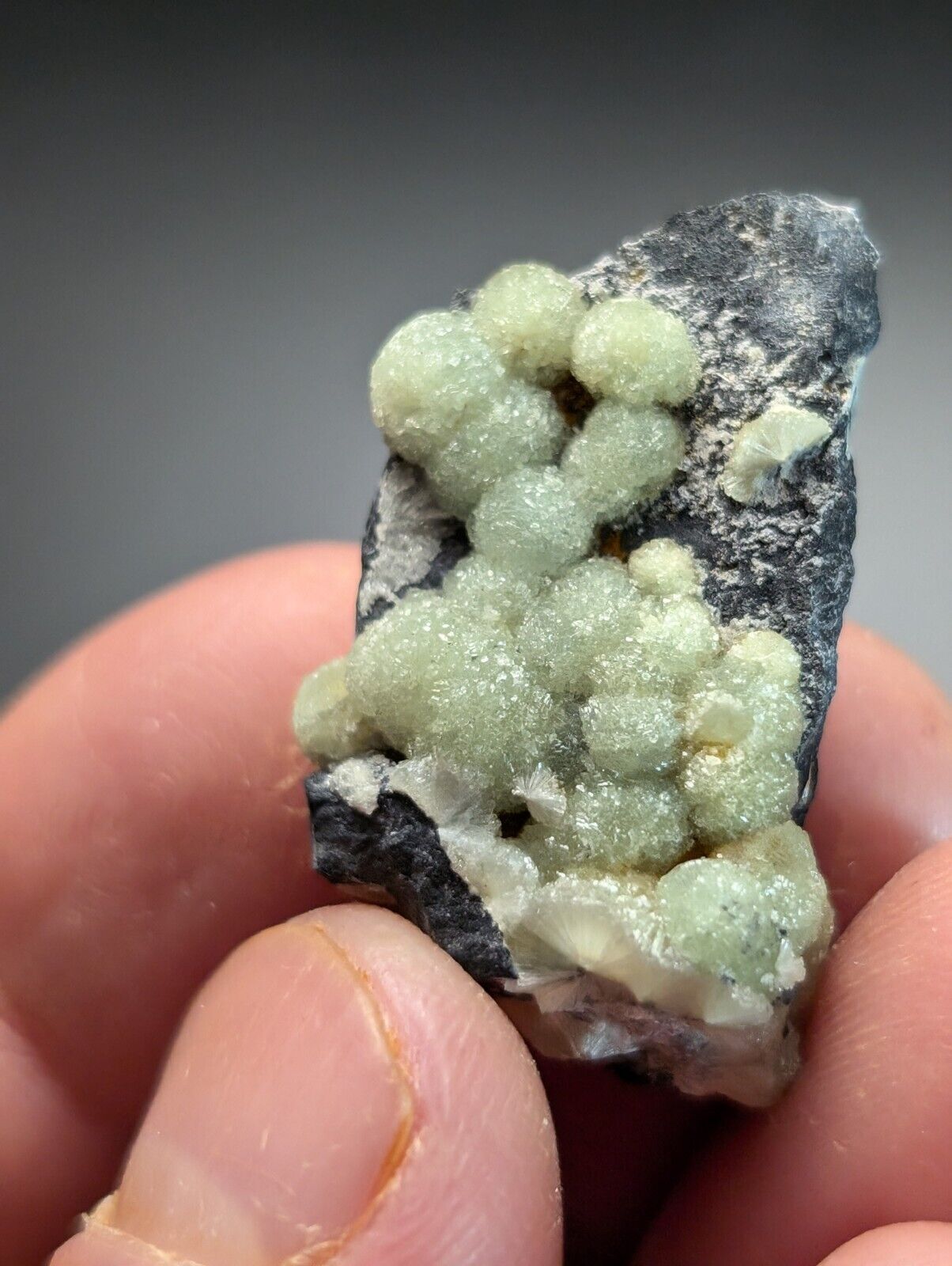 Amazing A+ Wavellite Specimen (Arkansas, USA)  - OOAK Natural Crystal Cluster