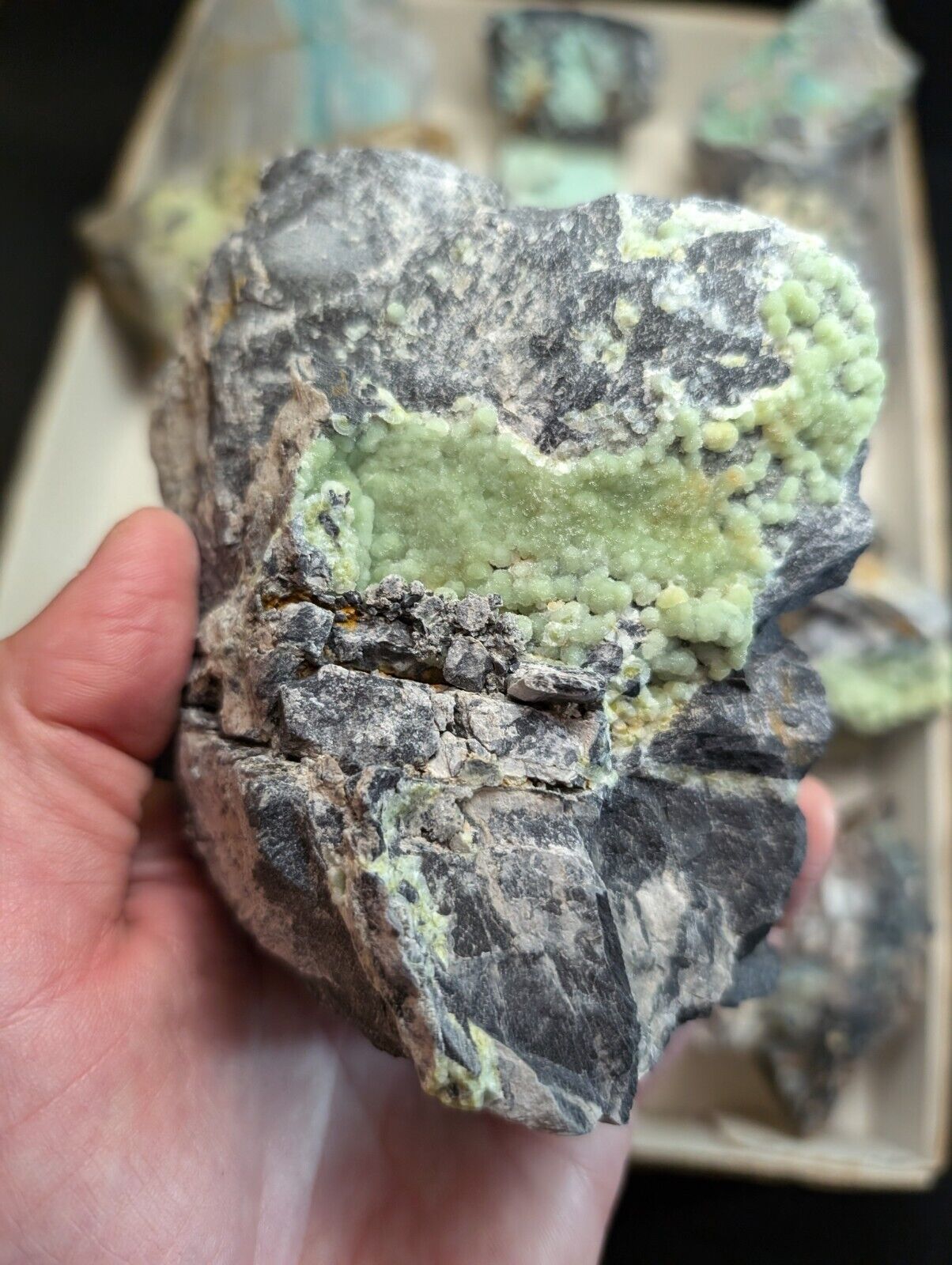 Flat of 12 Wavellite, Planerite, Variscite, Kidwellite Specimens - Arkansas, USA