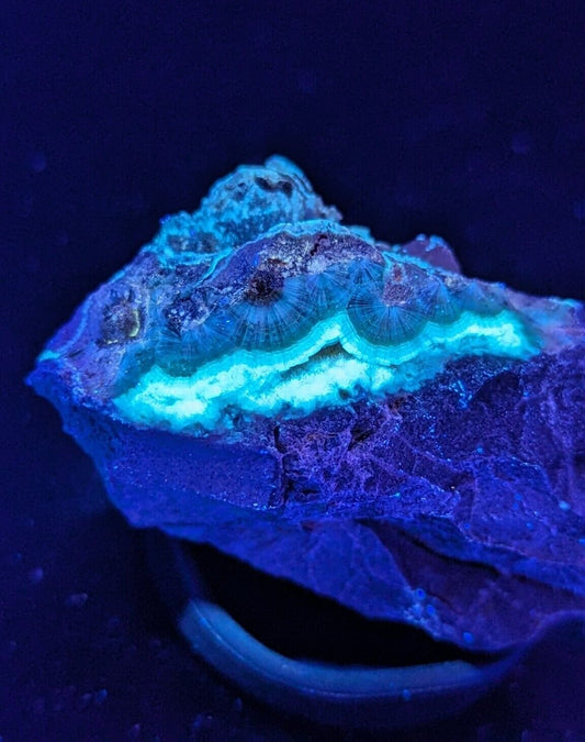 UV Reactive Wavellite -Old Stock - Mauldin Mountain, Arkansas, Amazing Eye Forms