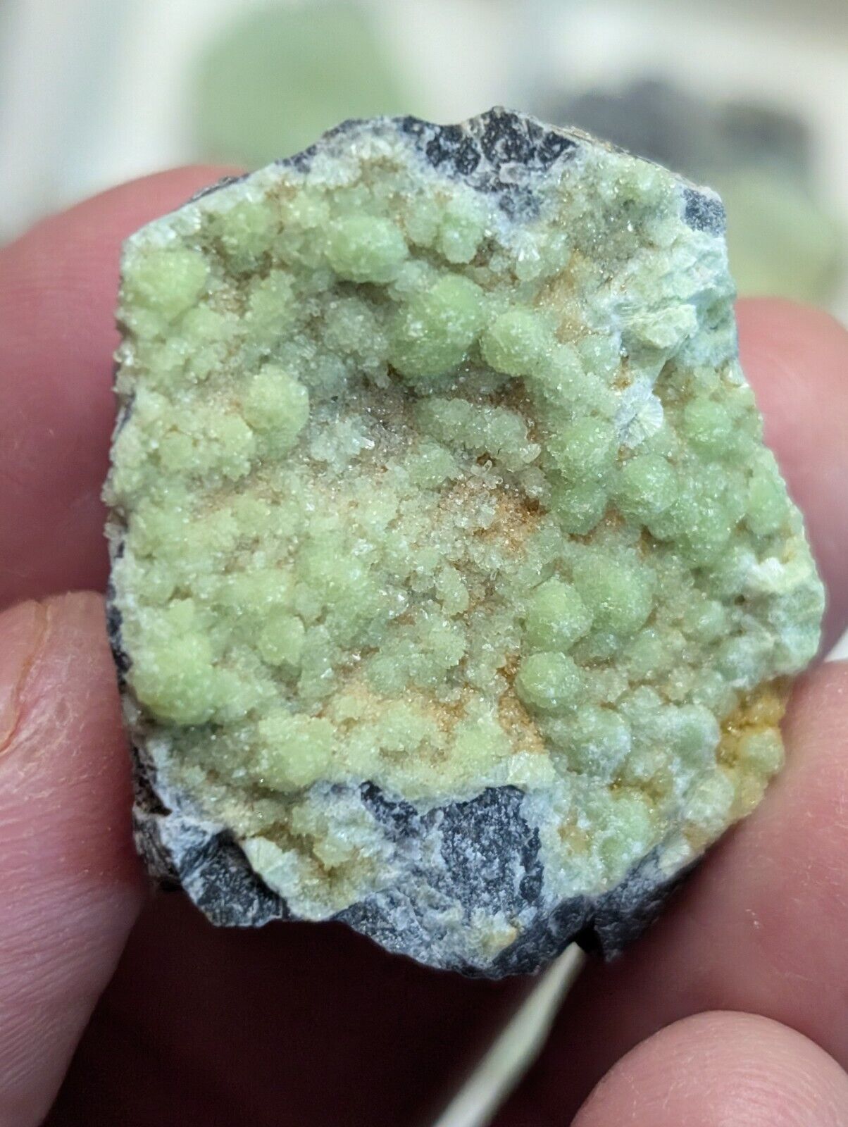 Set of 55 Wavellite Specimens (Arkansas, USA)  - OOAK Natural Crystal Clusters