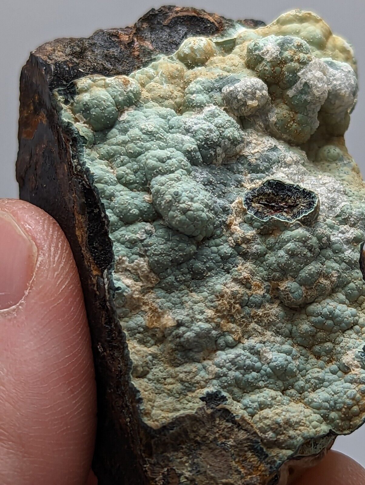 Super Rare Kidwellite, Strengite, Beraunite Combo -York Mine, Polk Co, Arkansas