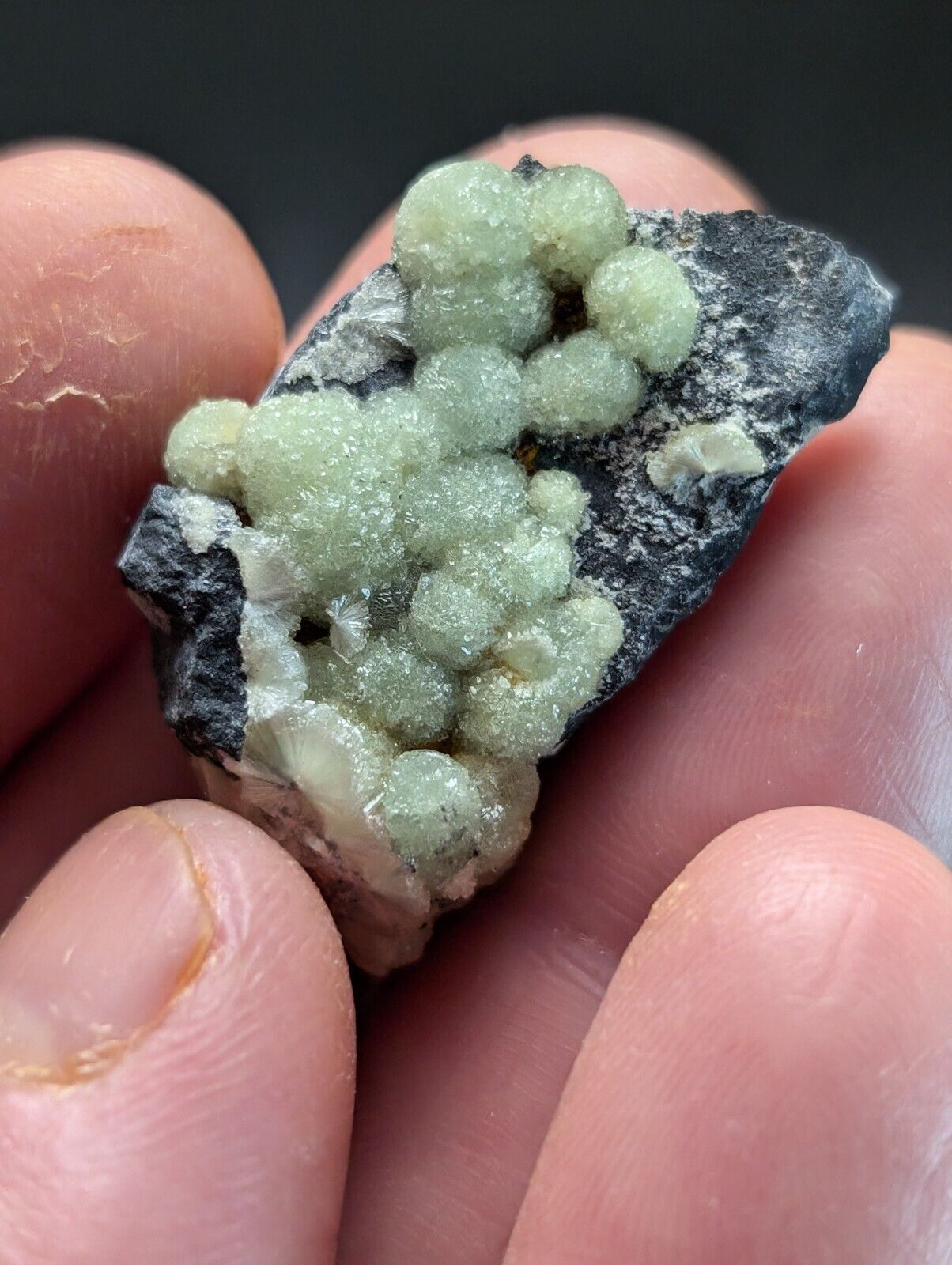 Amazing A+ Wavellite Specimen (Arkansas, USA)  - OOAK Natural Crystal Cluster