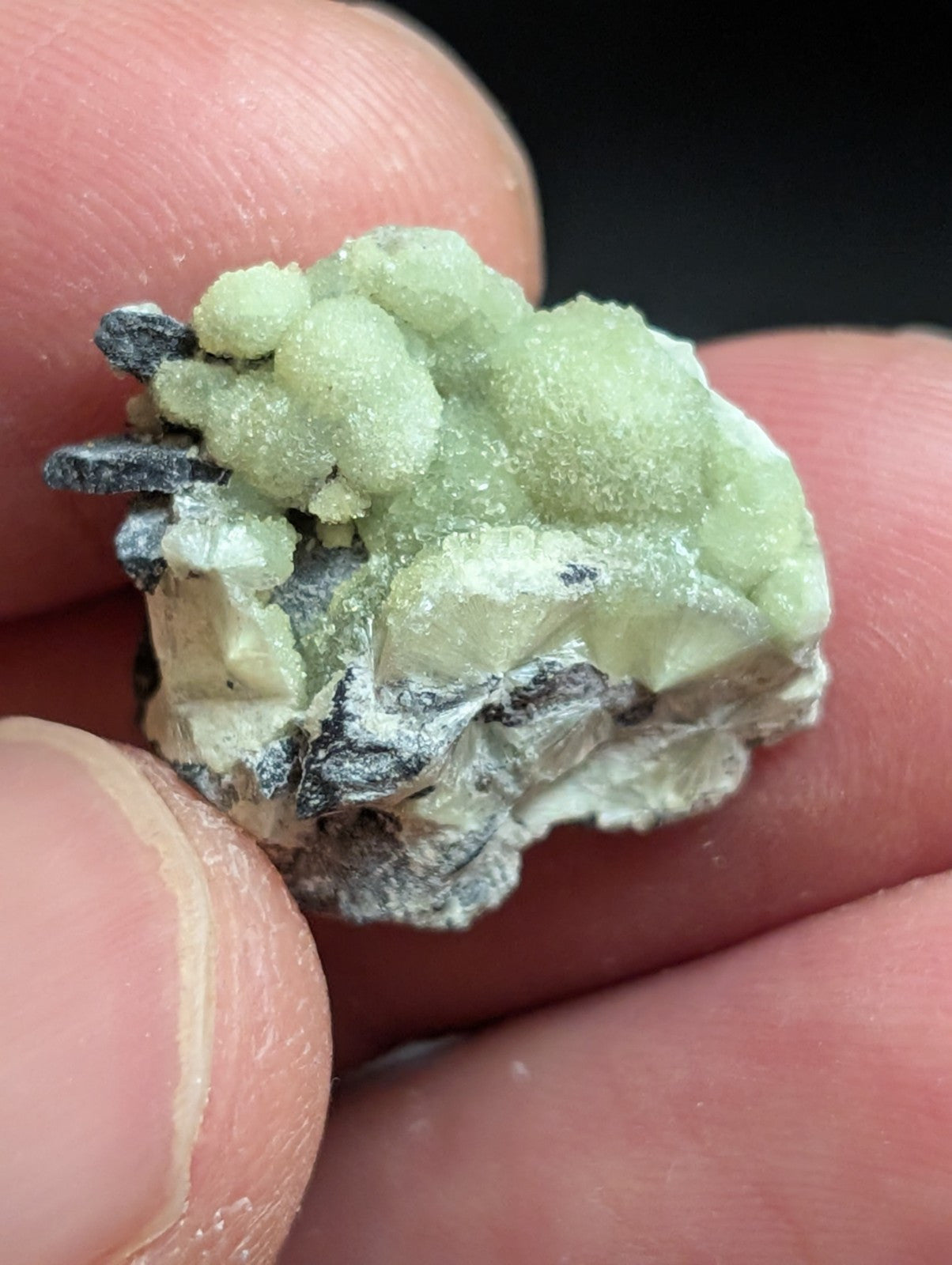 Wavellite - A+ Crystallization - Old Stock - Mauldin Mountain, Arkansas, USA