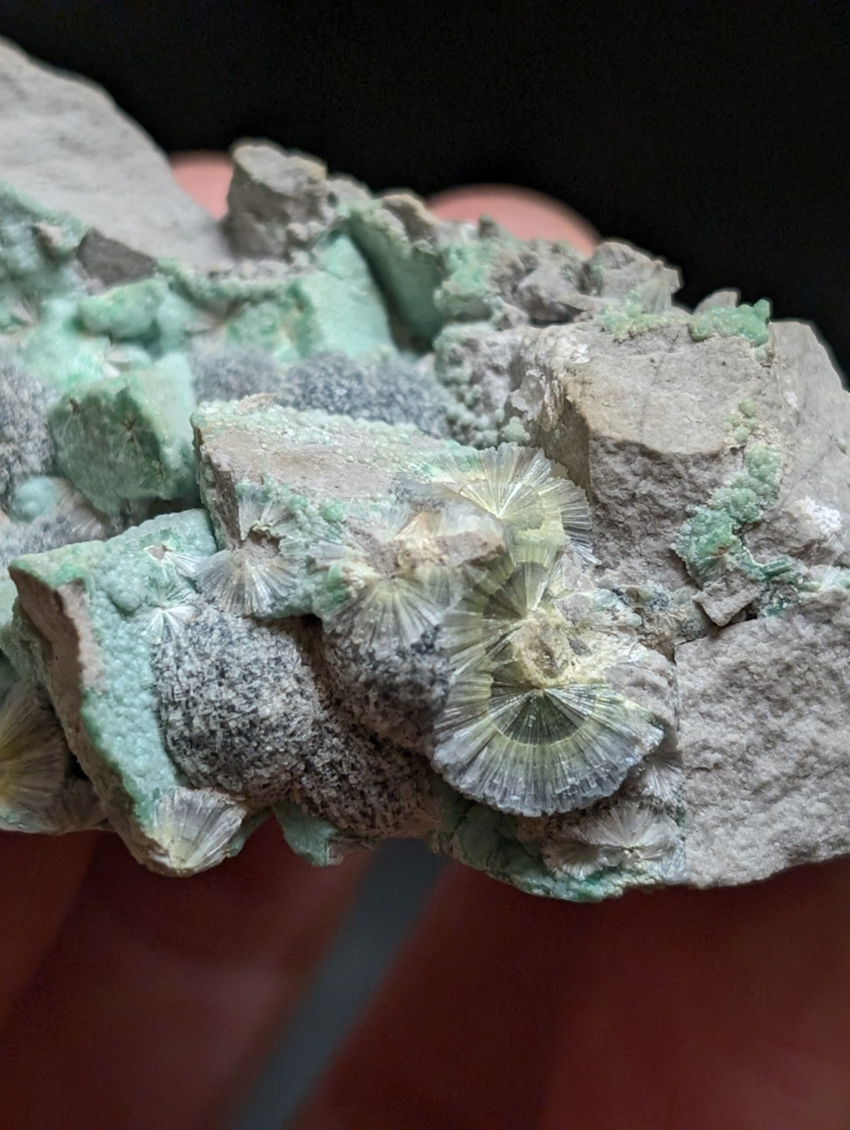 Blue Wavellite on Variscite! -Very Rare Old Stock - Garland County, Arkansas