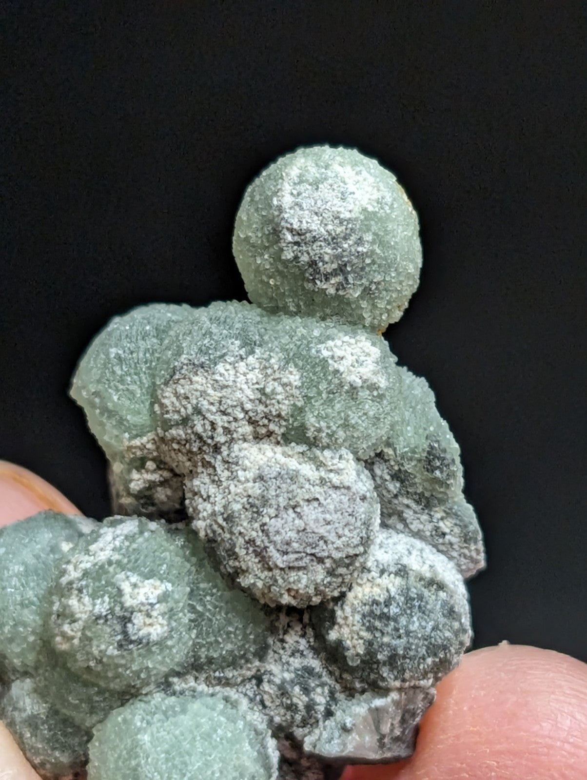 Wavellite w/ SiO2 Pseudomorphs, Mauldin Mountain, Montgomery Co. Arkansas, A++