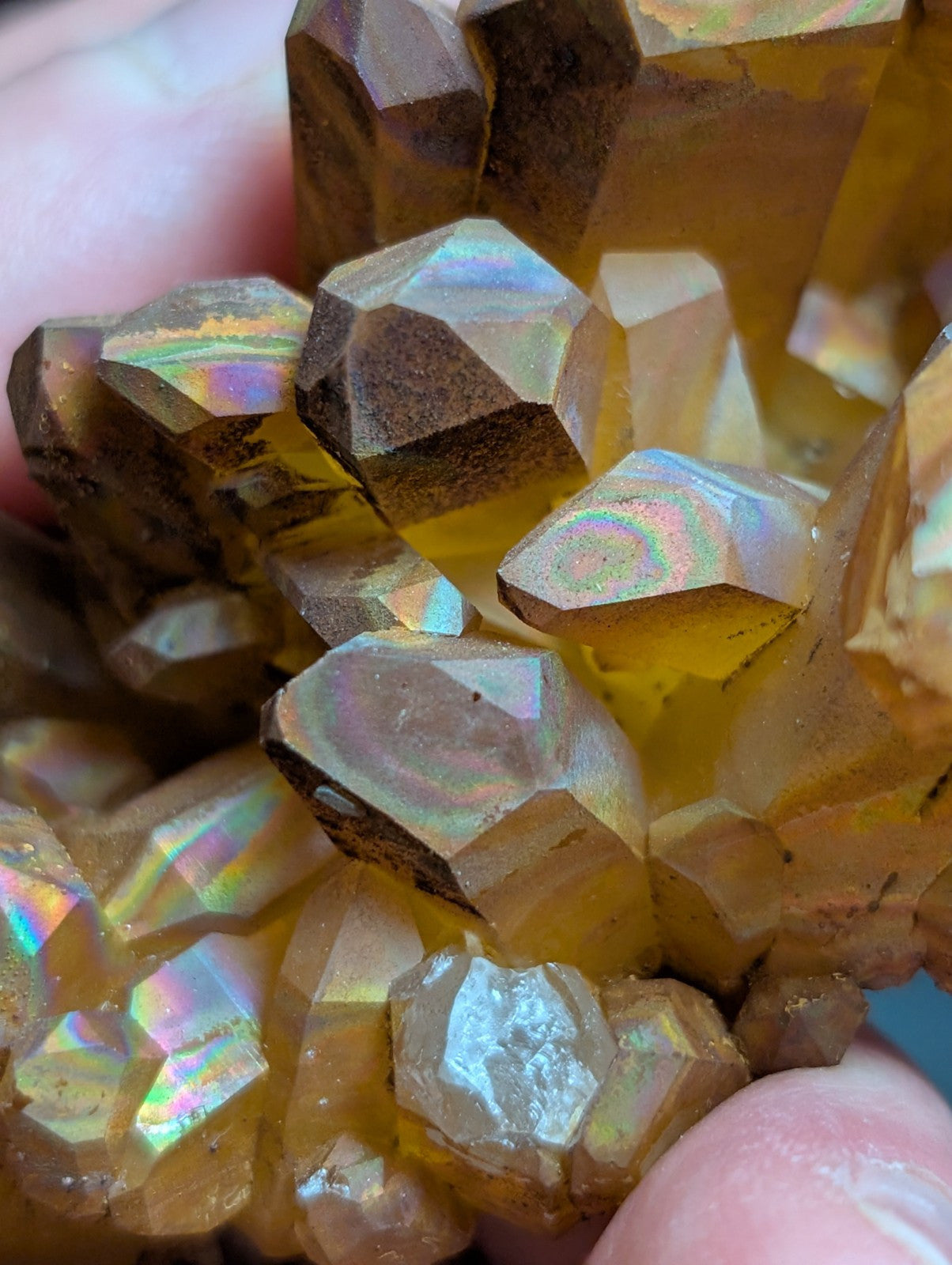 Rainbow Quartz Crystal Cluster -Montgomery Co. Arkansas, w/ natural iridescence