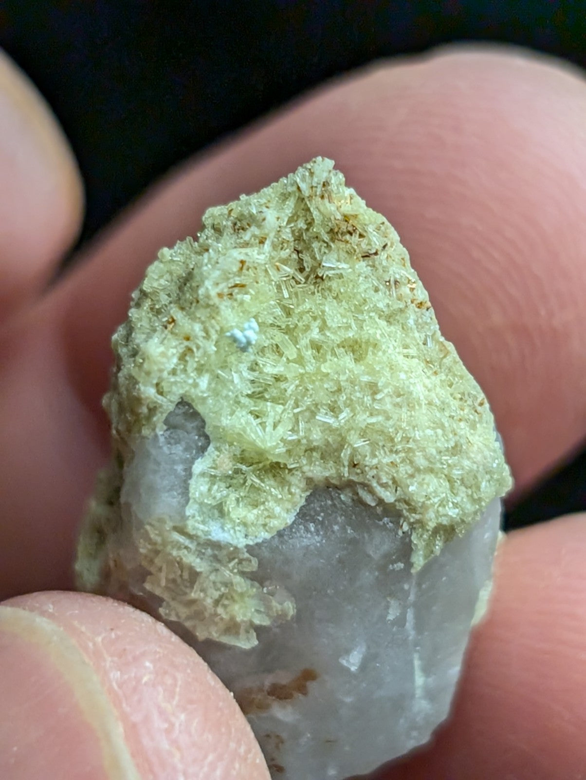 Yellow Wavellite with Variscite, Quartz - Rare Old Stock - Polk County, Arkansas