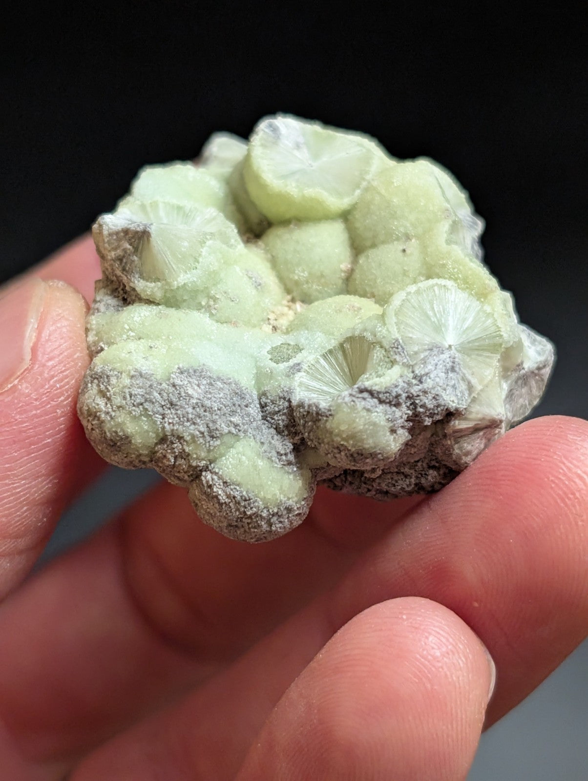 Wavellite w/ SiO2 pseudomorphs -Old Stock - Mauldin Mountain, Arkansas, USA