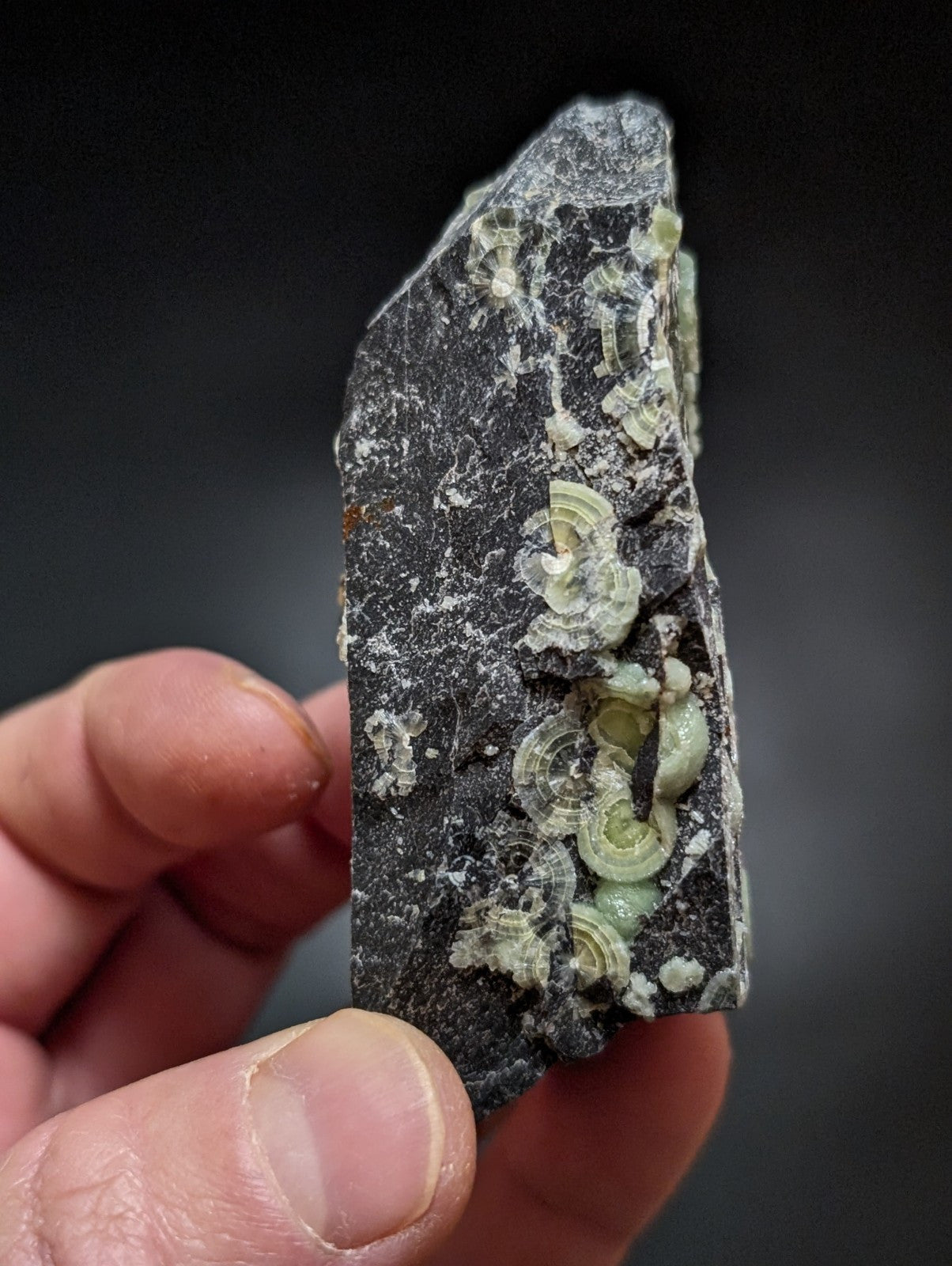 Wavellite w/ Large "Eyes", Mauldin Mountain, Montgomery County, Arkansas, USA