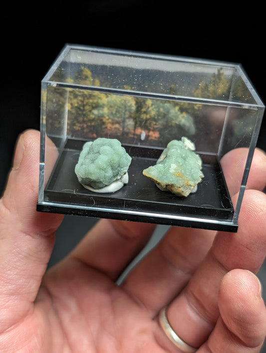 Wavellite, Set of 2 w/ photo case - Old Stock - Montgomery County, Arkansas