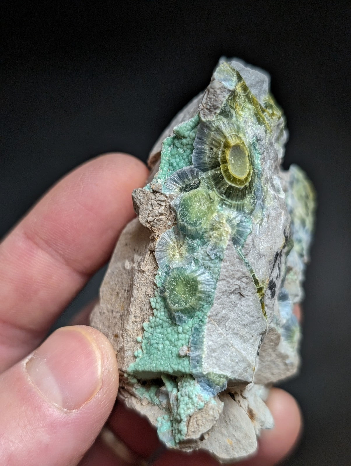 Blue Wavellite on Variscite! -Very Rare Old Stock - Garland County, Arkansas