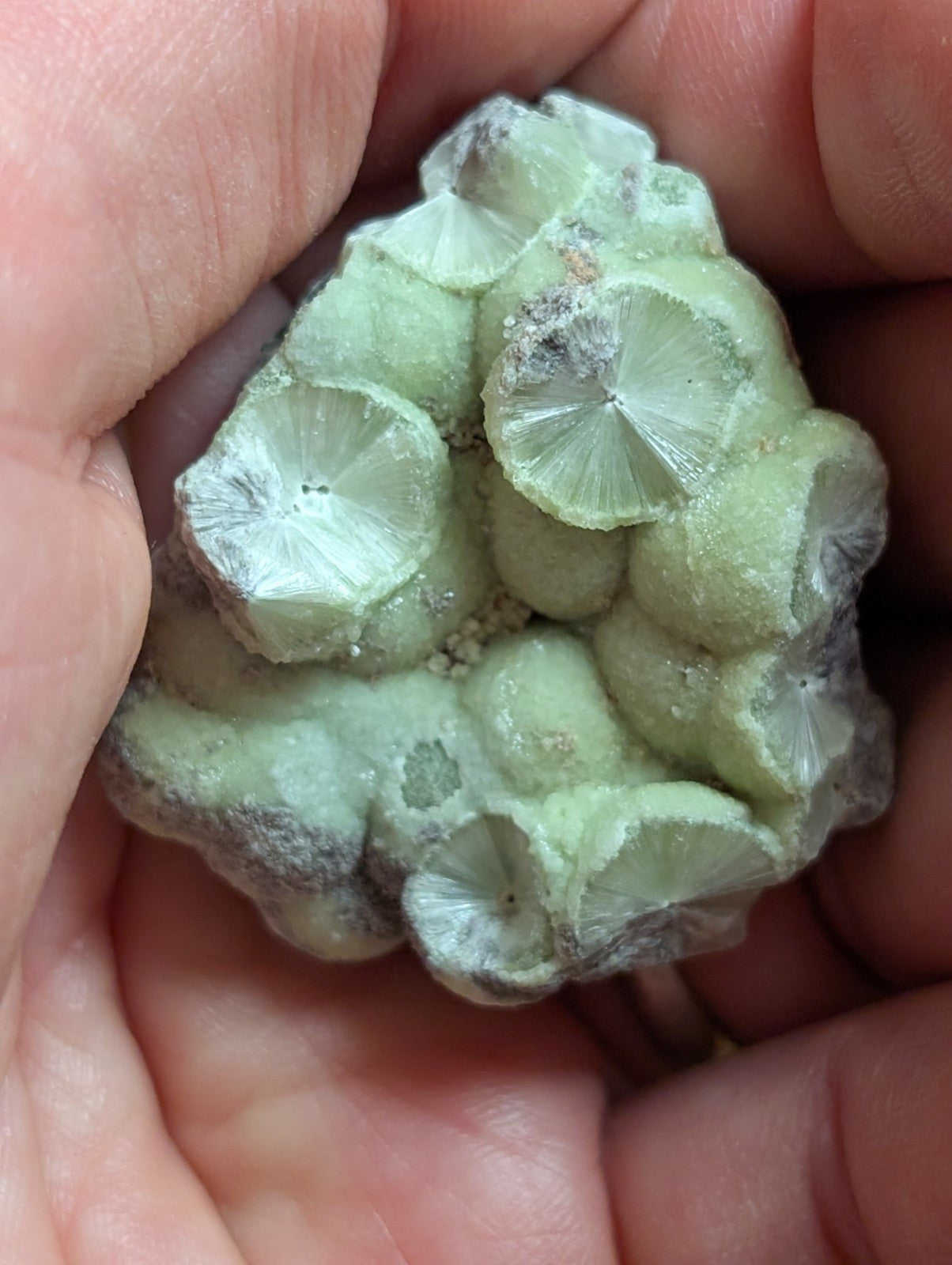 Wavellite w/ SiO2 pseudomorphs -Old Stock - Mauldin Mountain, Arkansas, USA