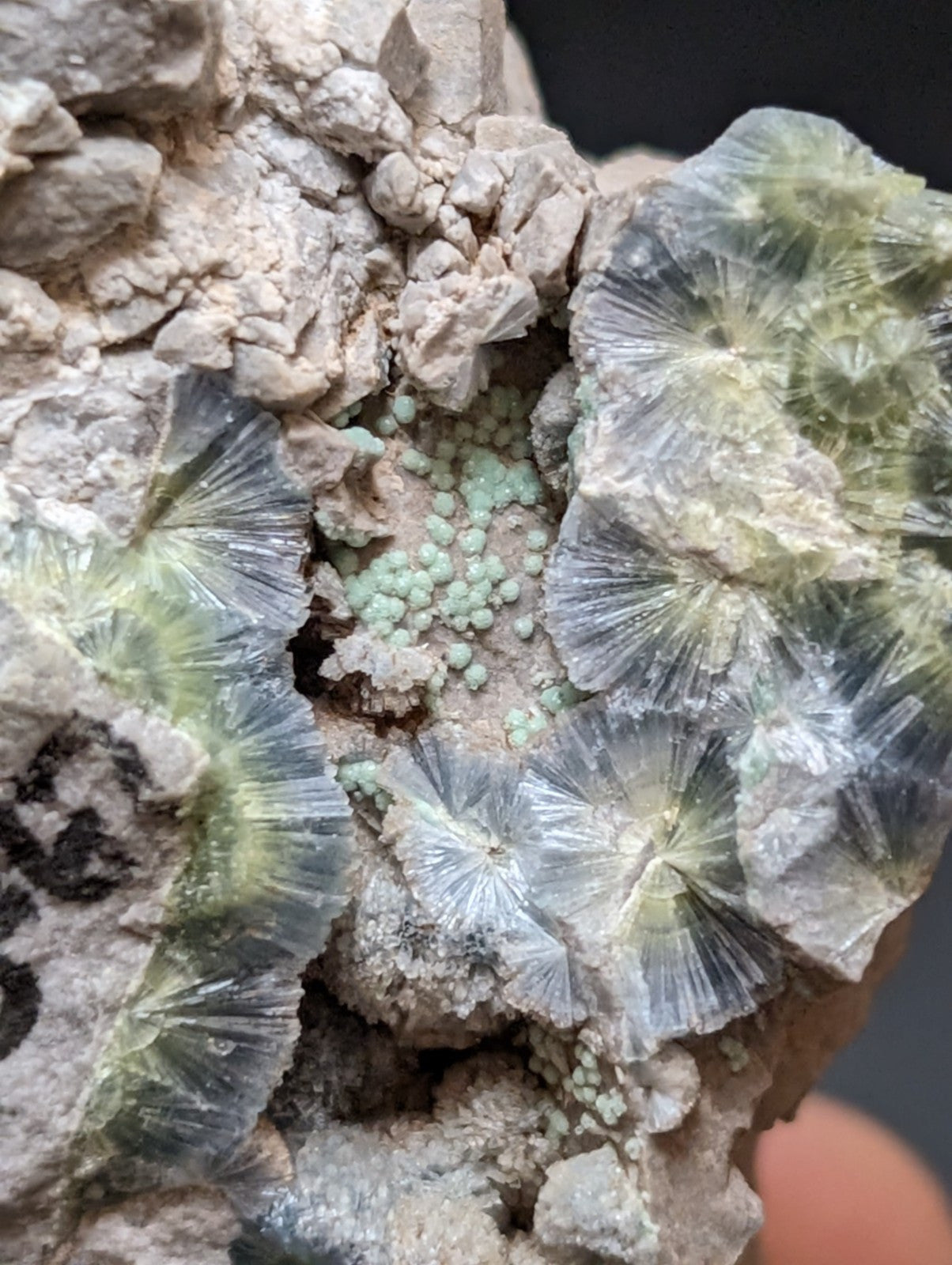 Blue Wavellite on Variscite! -Very Rare Old Stock - Garland County, Arkansas