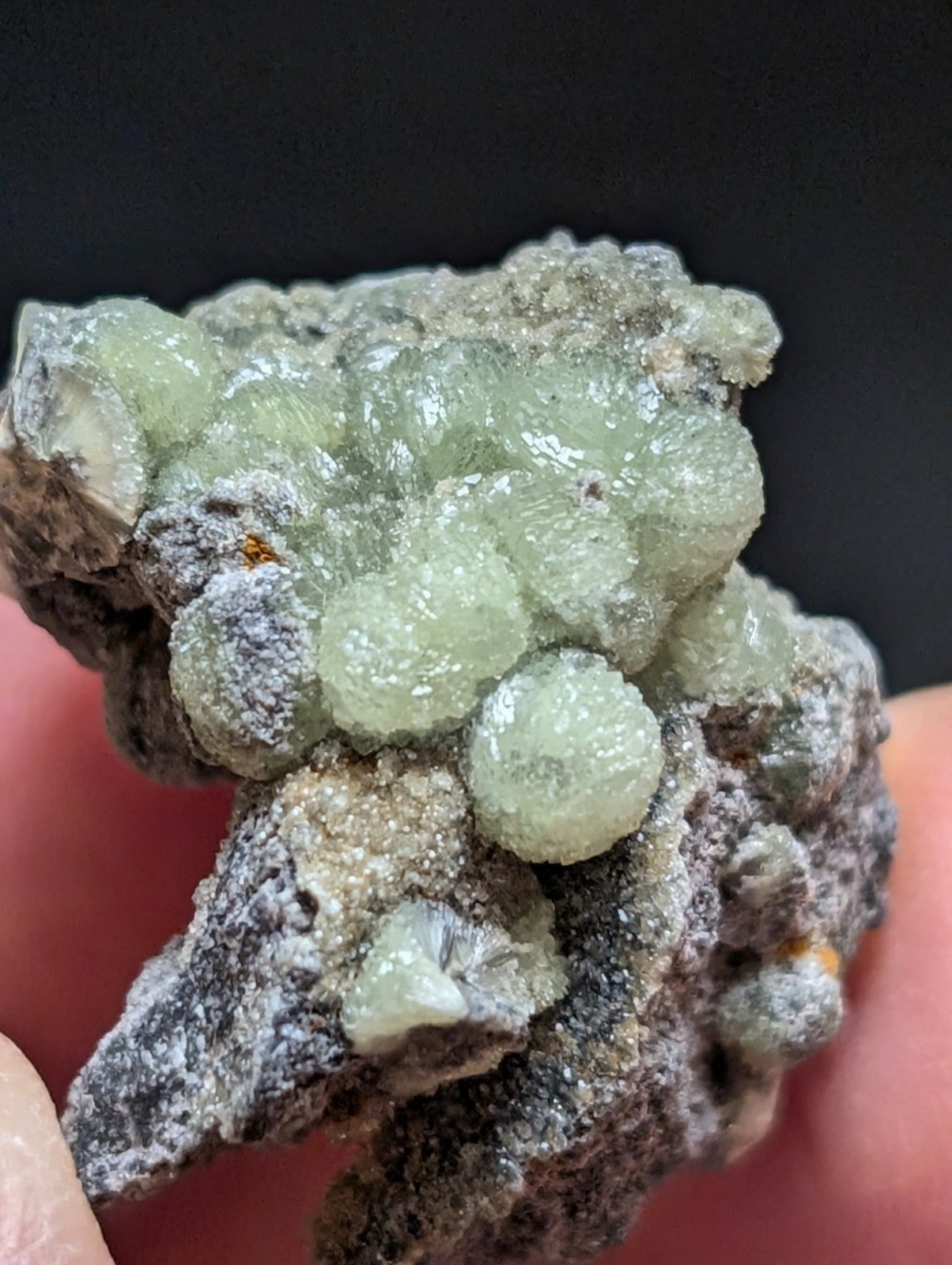 Wavellite w/ SiO2 Pseudomorphs, Mauldin Mountain, Montgomery Co. Arkansas, A++