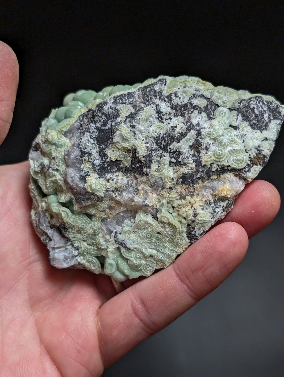 Phenomenal Wavellite -Old Stock - Mauldin Mountain, Arkansas, A+++ Display Piece