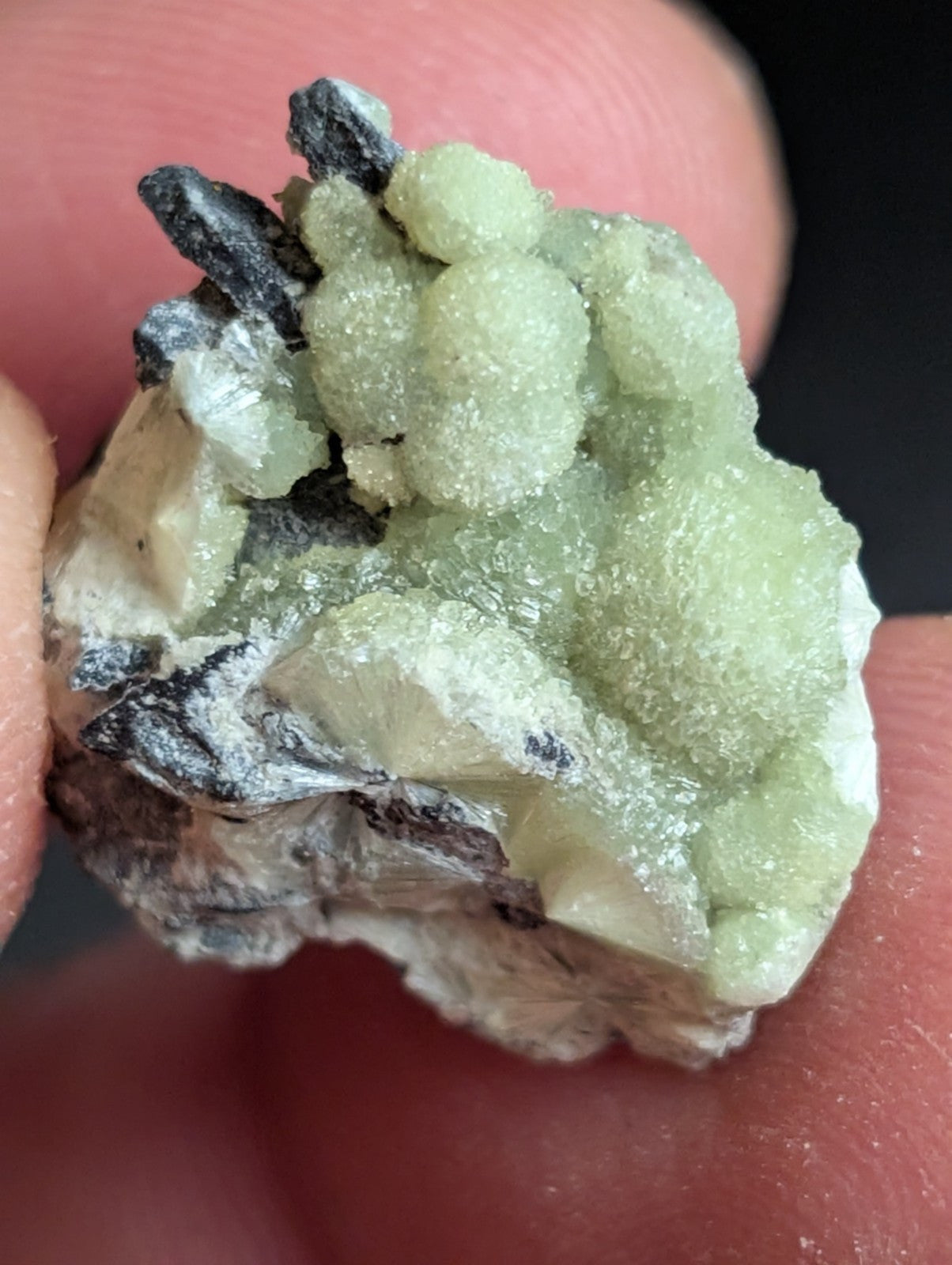 Wavellite - A+ Crystallization - Old Stock - Mauldin Mountain, Arkansas, USA