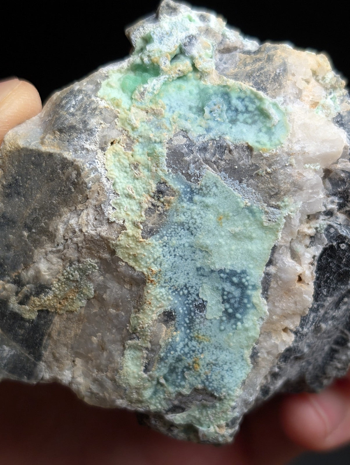 Large Planerite on Quartz, Mauldin Mountain, Montgomery Co. Arkansas (Old Stock)