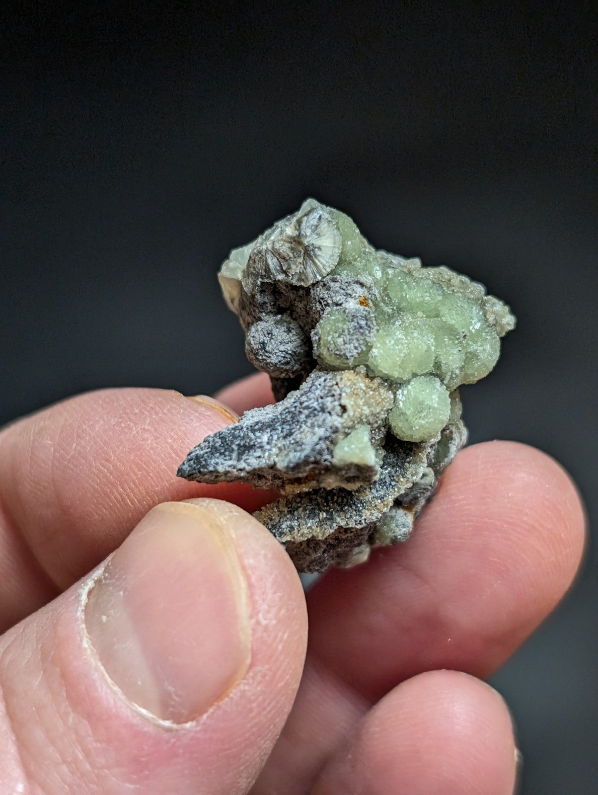 Wavellite w/ SiO2 Pseudomorphs, Mauldin Mountain, Montgomery Co. Arkansas, A++