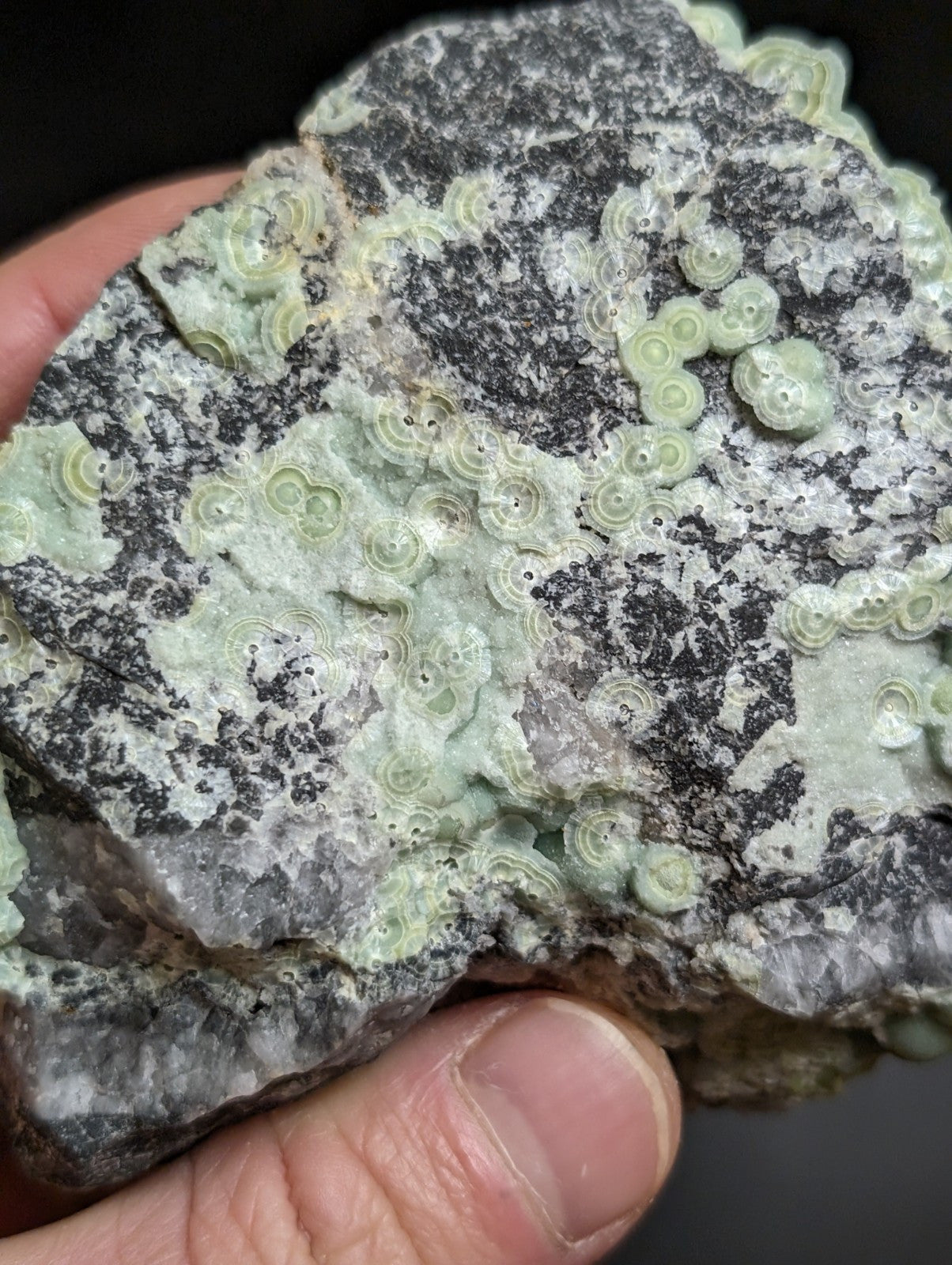 Phenomenal Wavellite -Old Stock - Mauldin Mountain, Arkansas, A+++ Display Piece