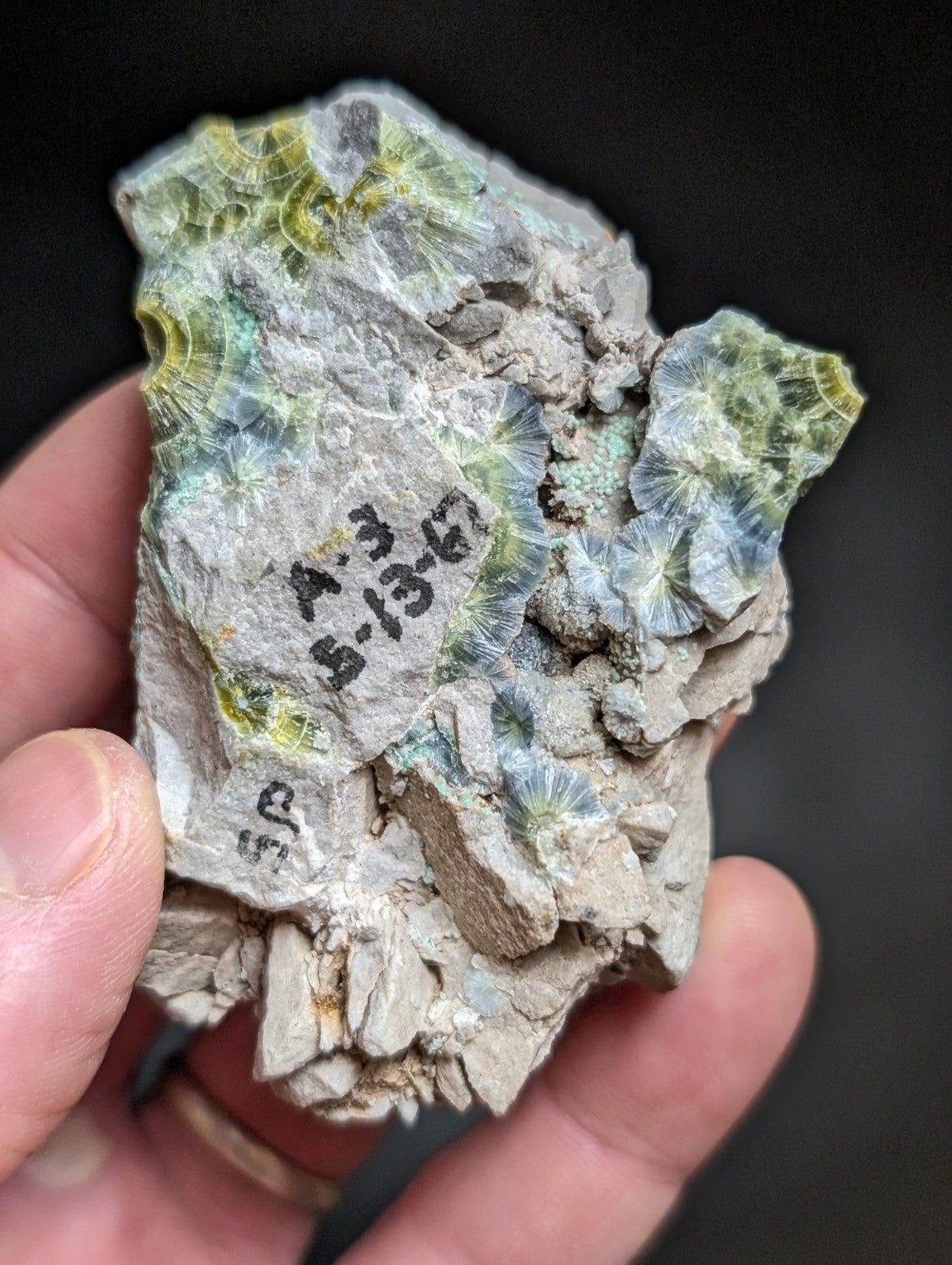 Blue Wavellite on Variscite! -Very Rare Old Stock - Garland County, Arkansas