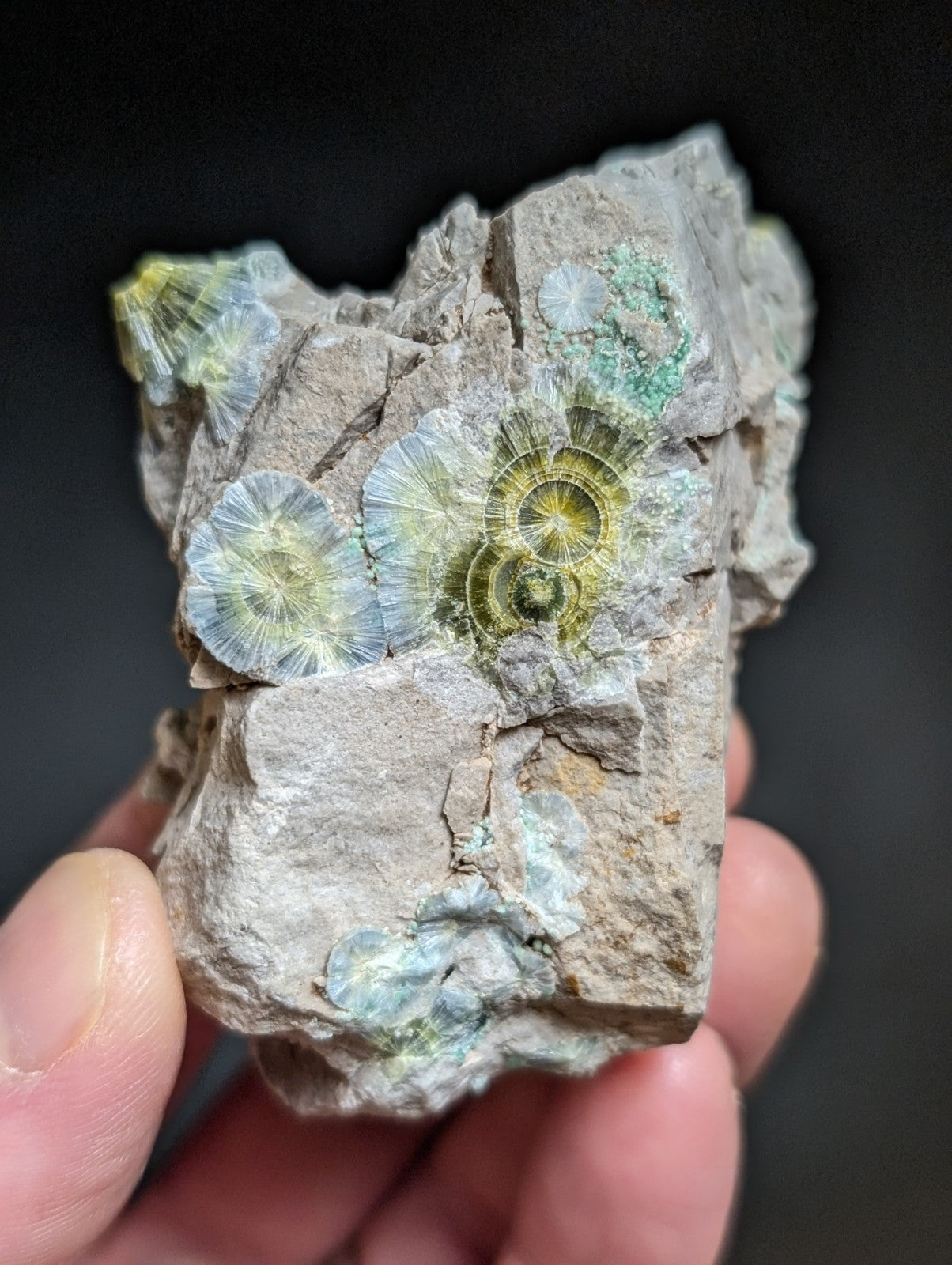 Blue Wavellite on Variscite! -Very Rare Old Stock - Garland County, Arkansas