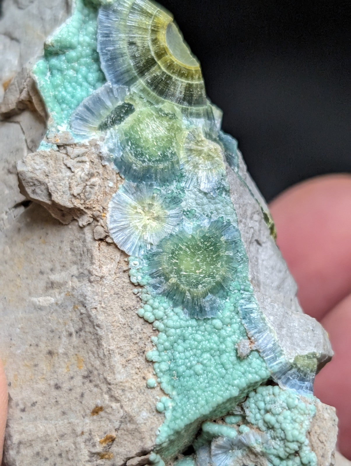 Blue Wavellite on Variscite! -Very Rare Old Stock - Garland County, Arkansas