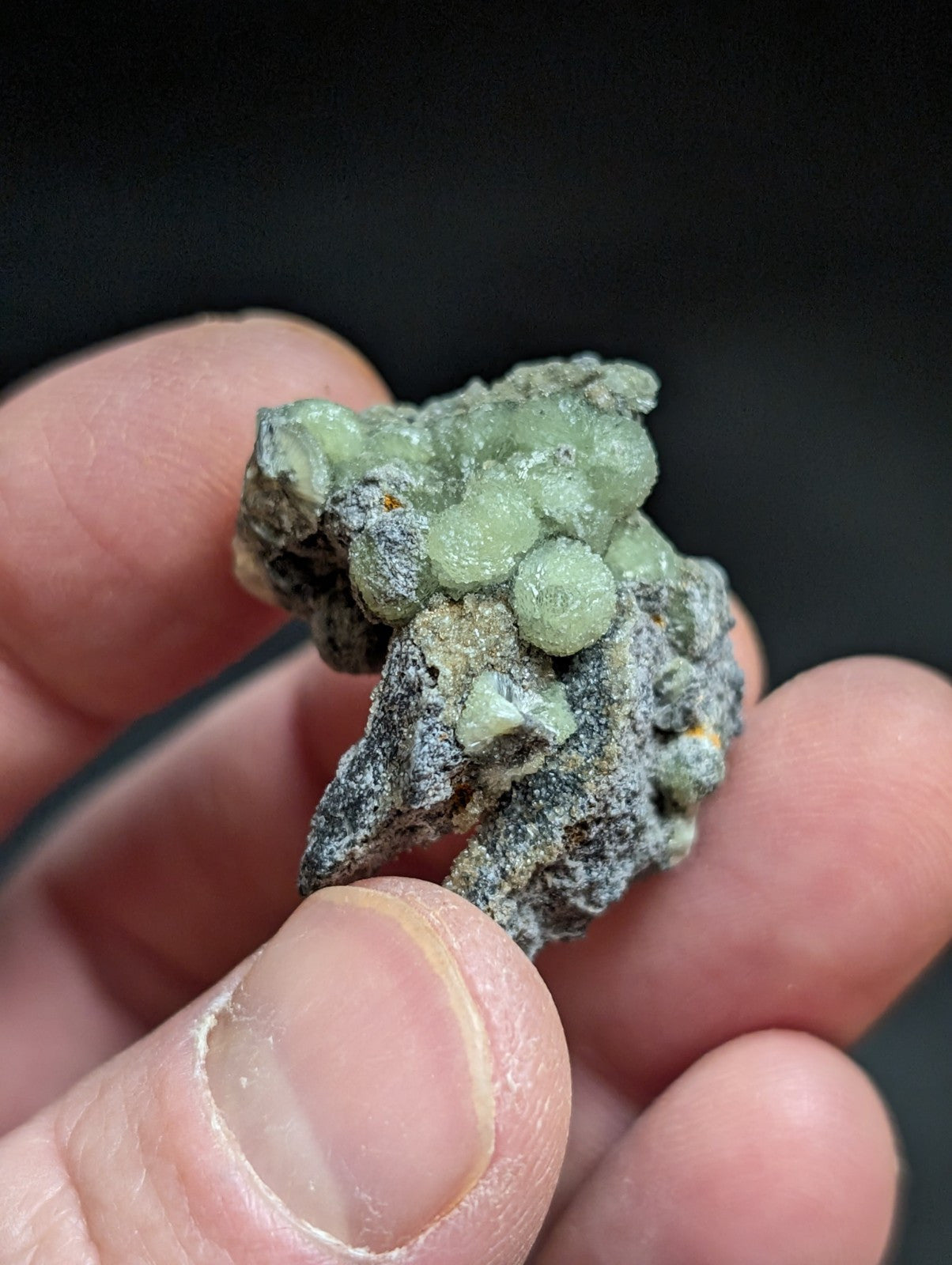 Wavellite w/ SiO2 Pseudomorphs, Mauldin Mountain, Montgomery Co. Arkansas, A++