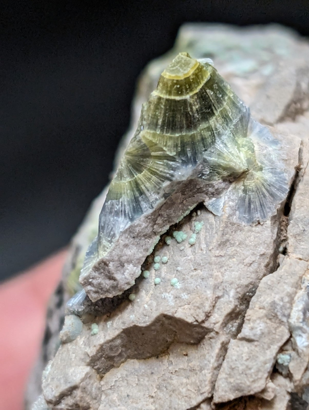 Blue Wavellite on Variscite! -Very Rare Old Stock - Garland County, Arkansas