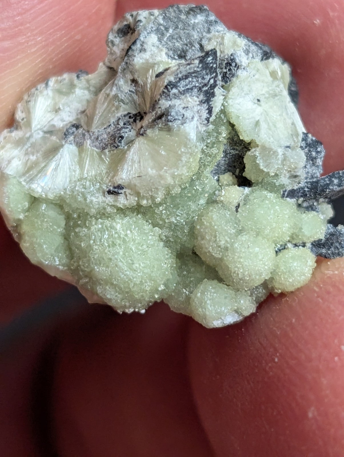 Wavellite - A+ Crystallization - Old Stock - Mauldin Mountain, Arkansas, USA