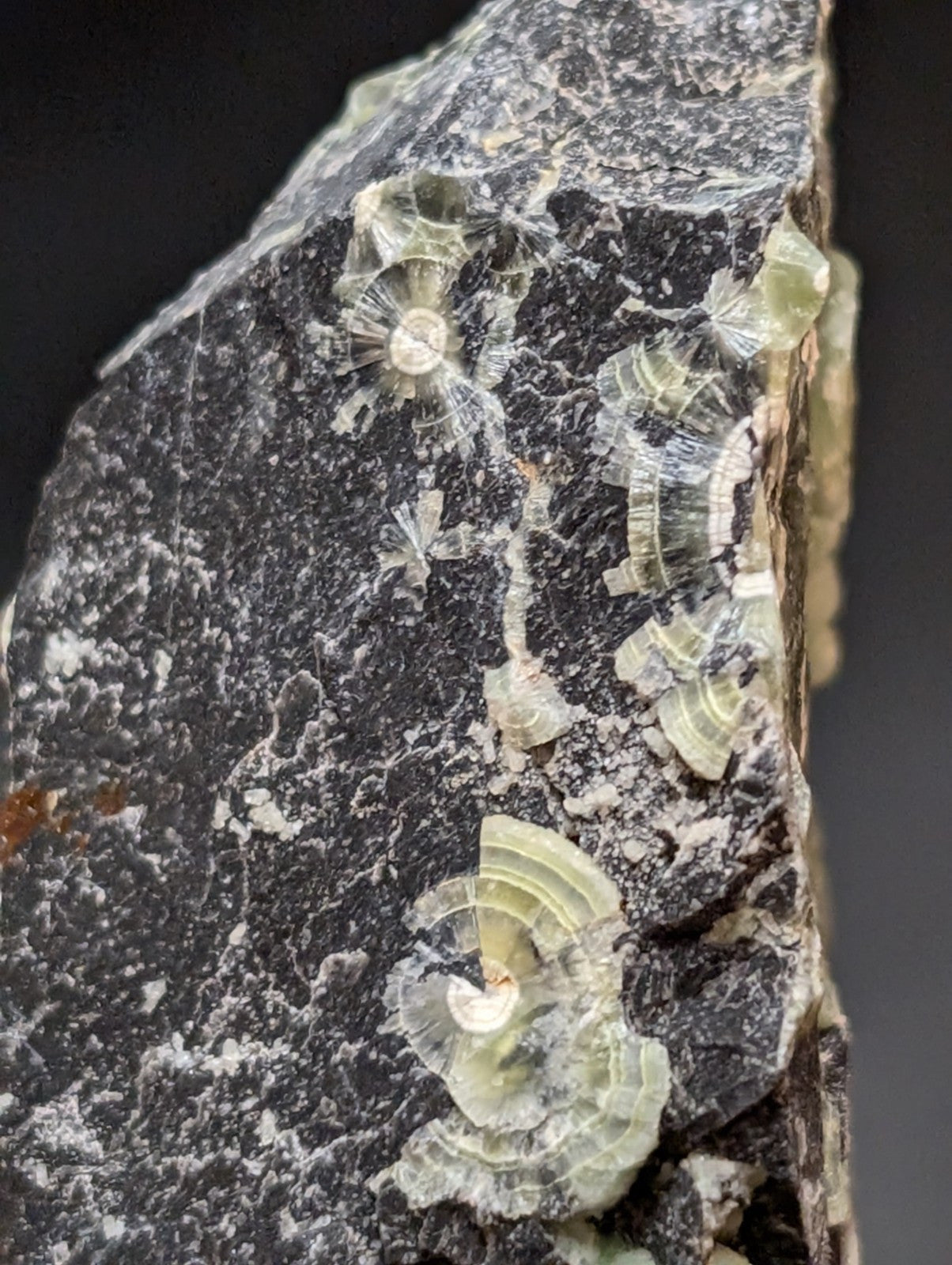 Wavellite w/ Large "Eyes", Mauldin Mountain, Montgomery County, Arkansas, USA